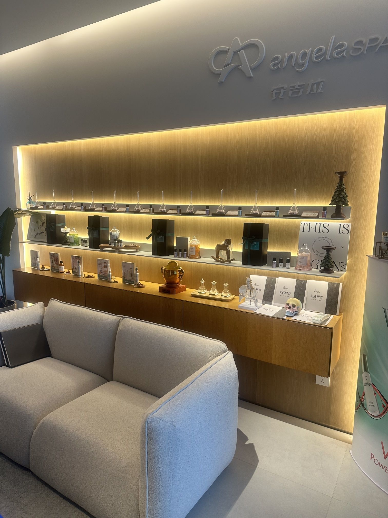 安吉拉青春化管理中心(壹湖店)