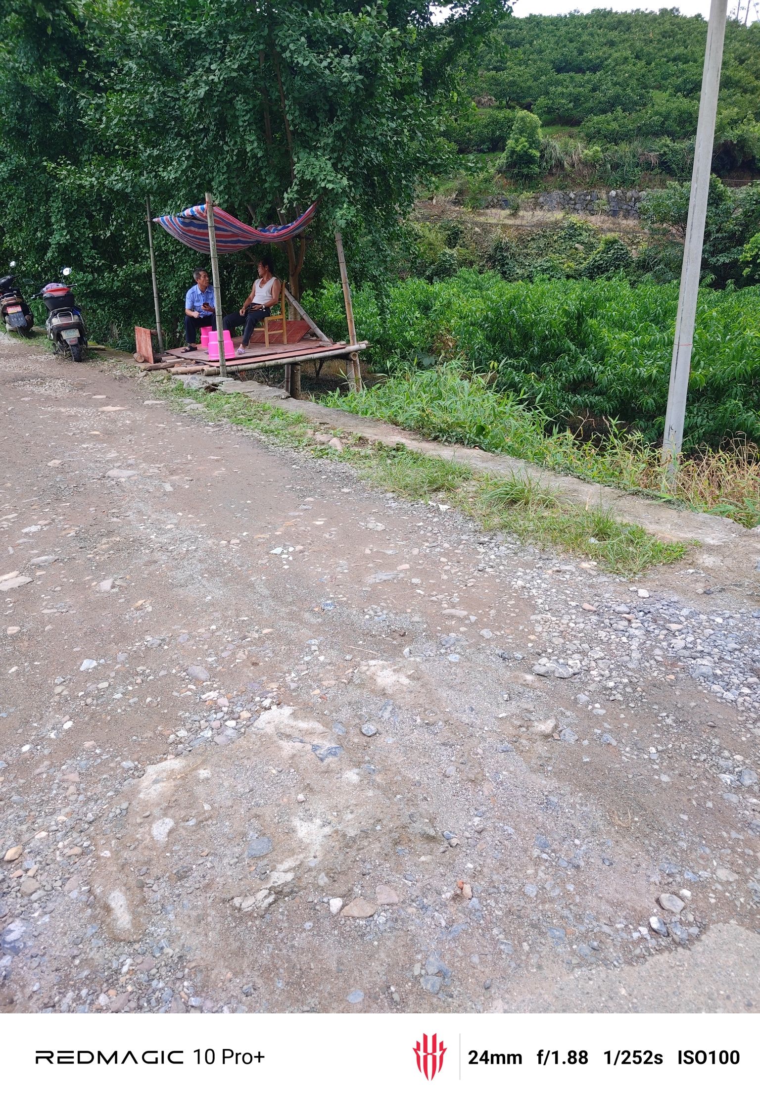 桂林市雁山区草坪乡大狮湾云顶观光旅行图片 2
