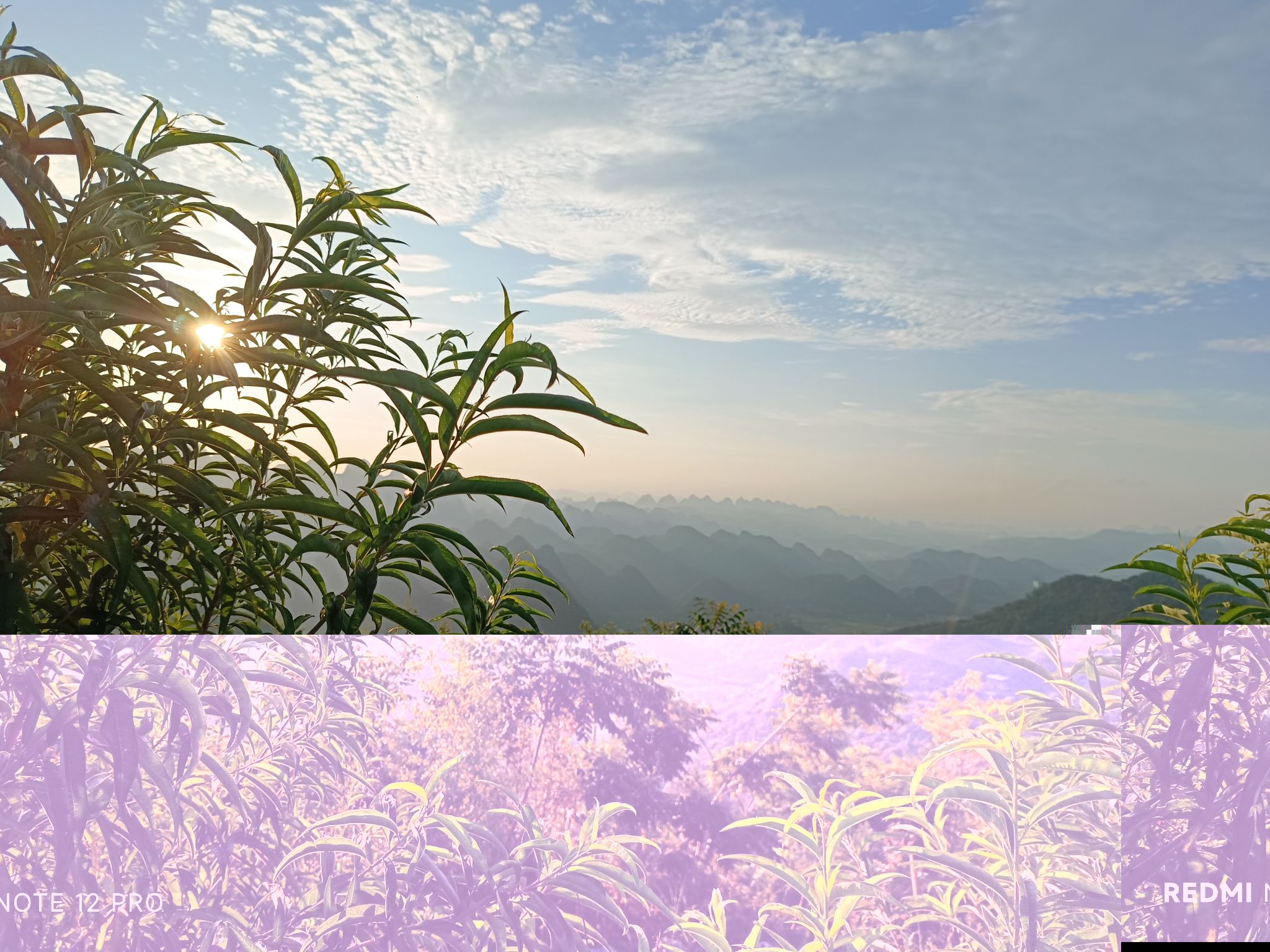 桂林市雁山区草坪乡大狮湾云顶观光旅行图片 3