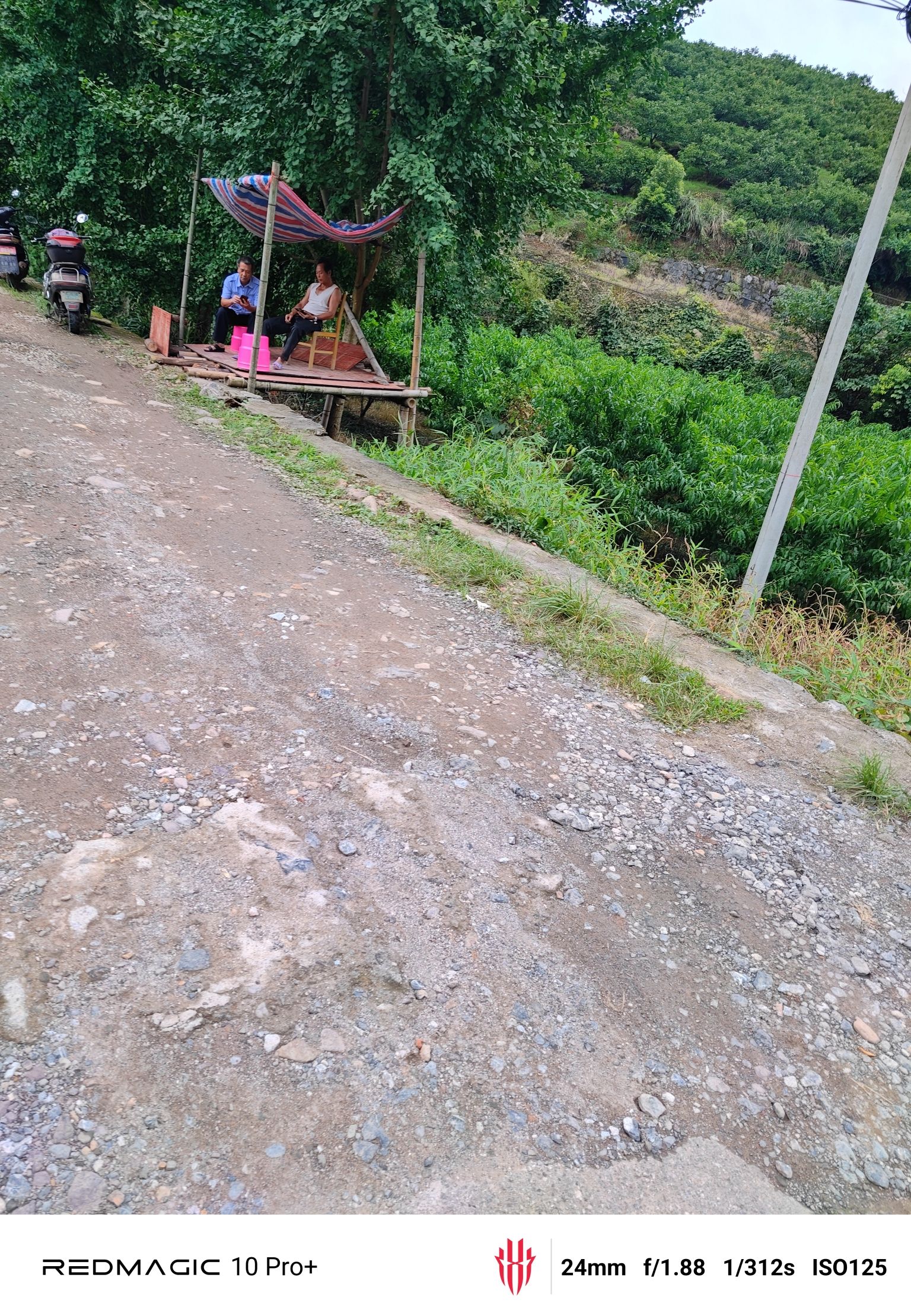 桂林市雁山区草坪乡大狮湾云顶观光旅行图片 1