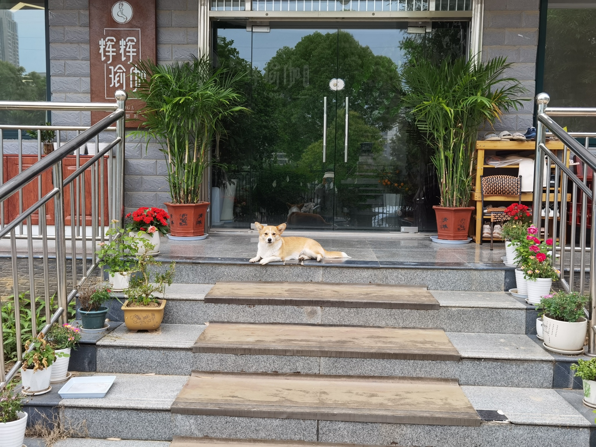 场地封面-辉辉瑜伽.女子塑形