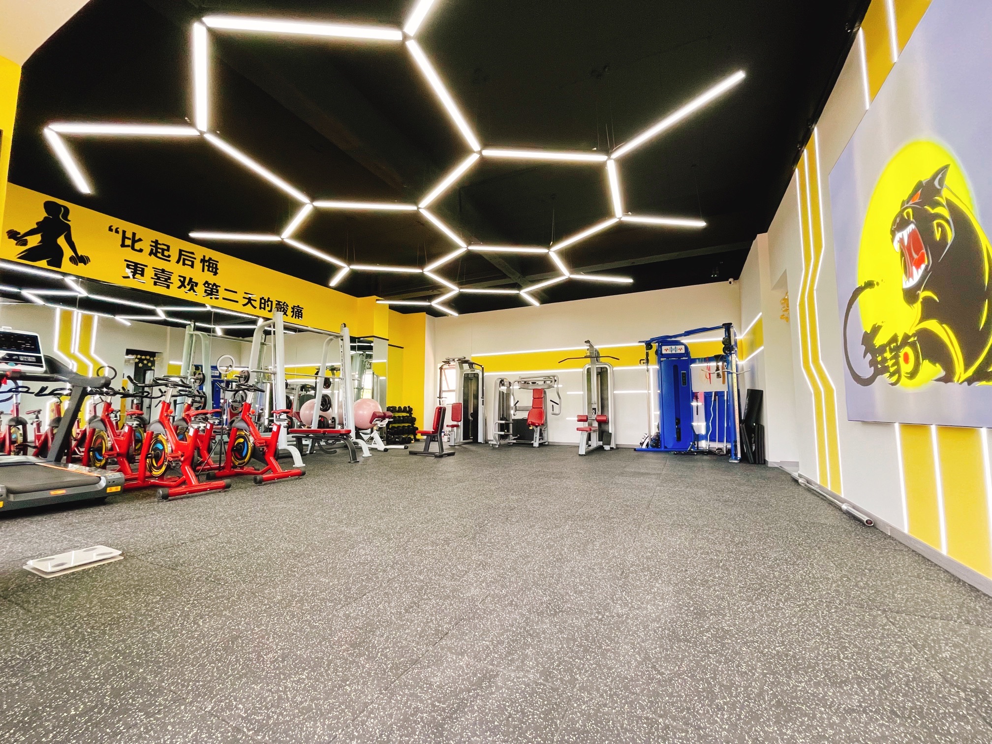 场地封面-狂豹健身工作室