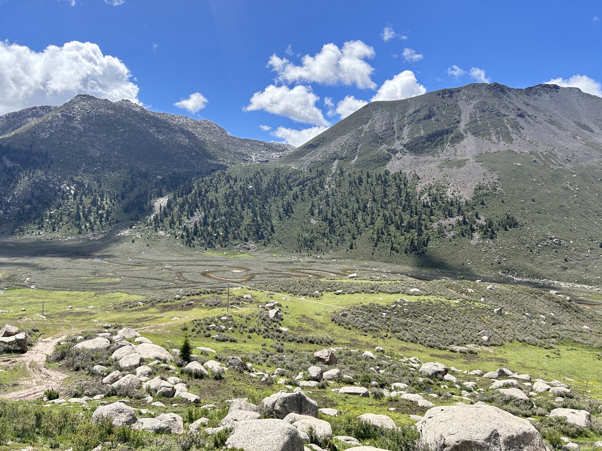 拉龙措古冰漂湿地旅游景区旅行图片 3