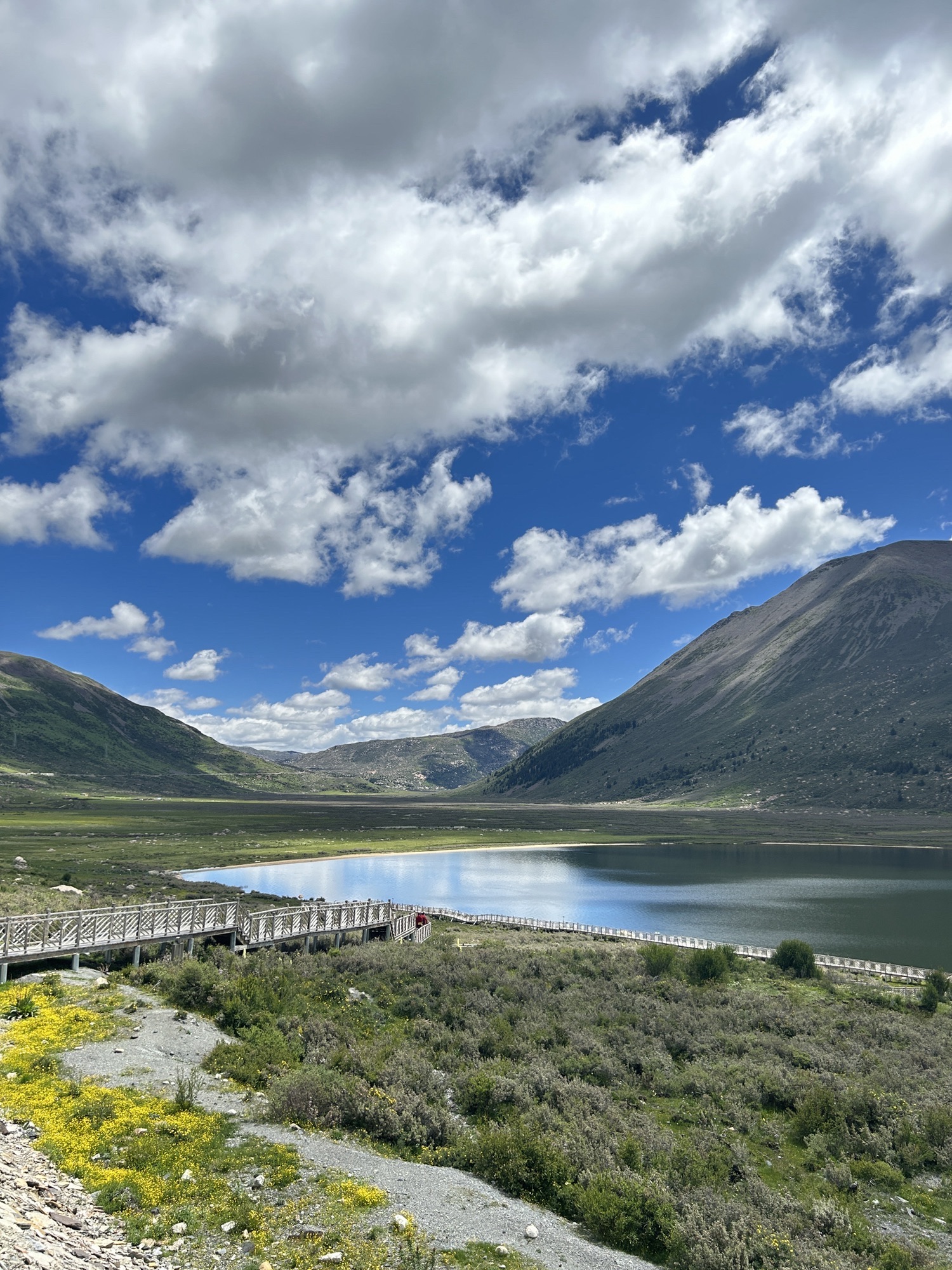 拉龙措古冰漂湿地旅游景区旅行图片 1