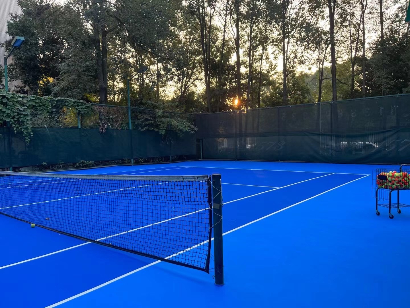 场地封面-乐动网球(华府校区)