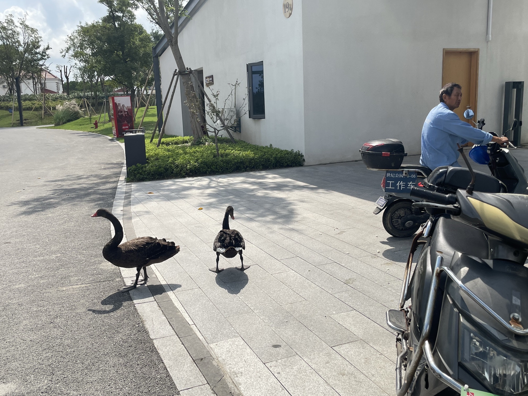 涟动公园旅行图片 3