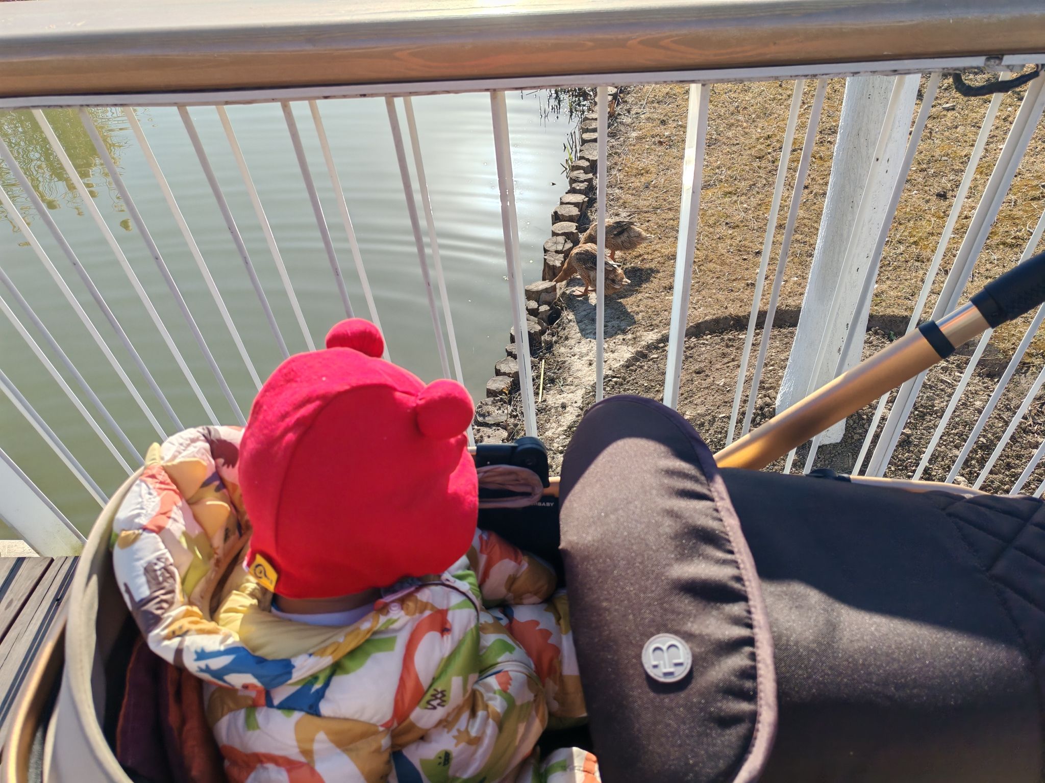 涟动公园旅行图片 3