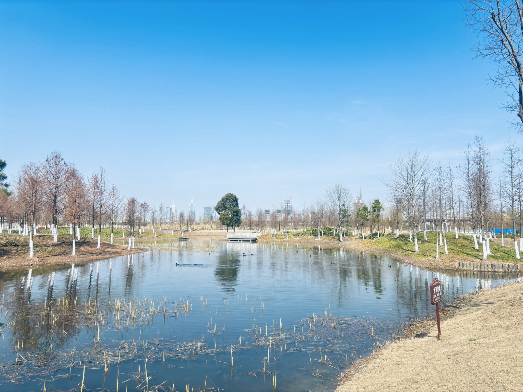 涟动公园旅行图片 2