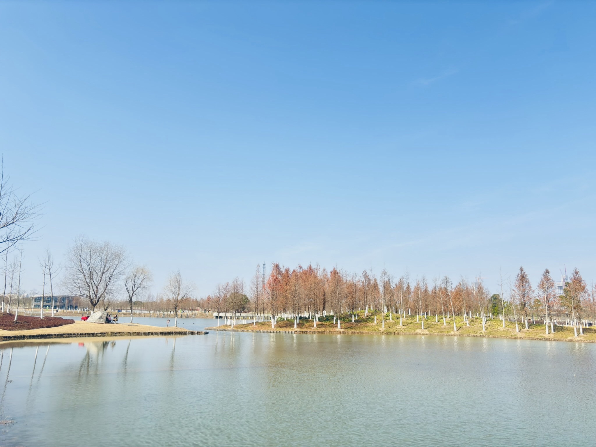 涟动公园旅行图片 3