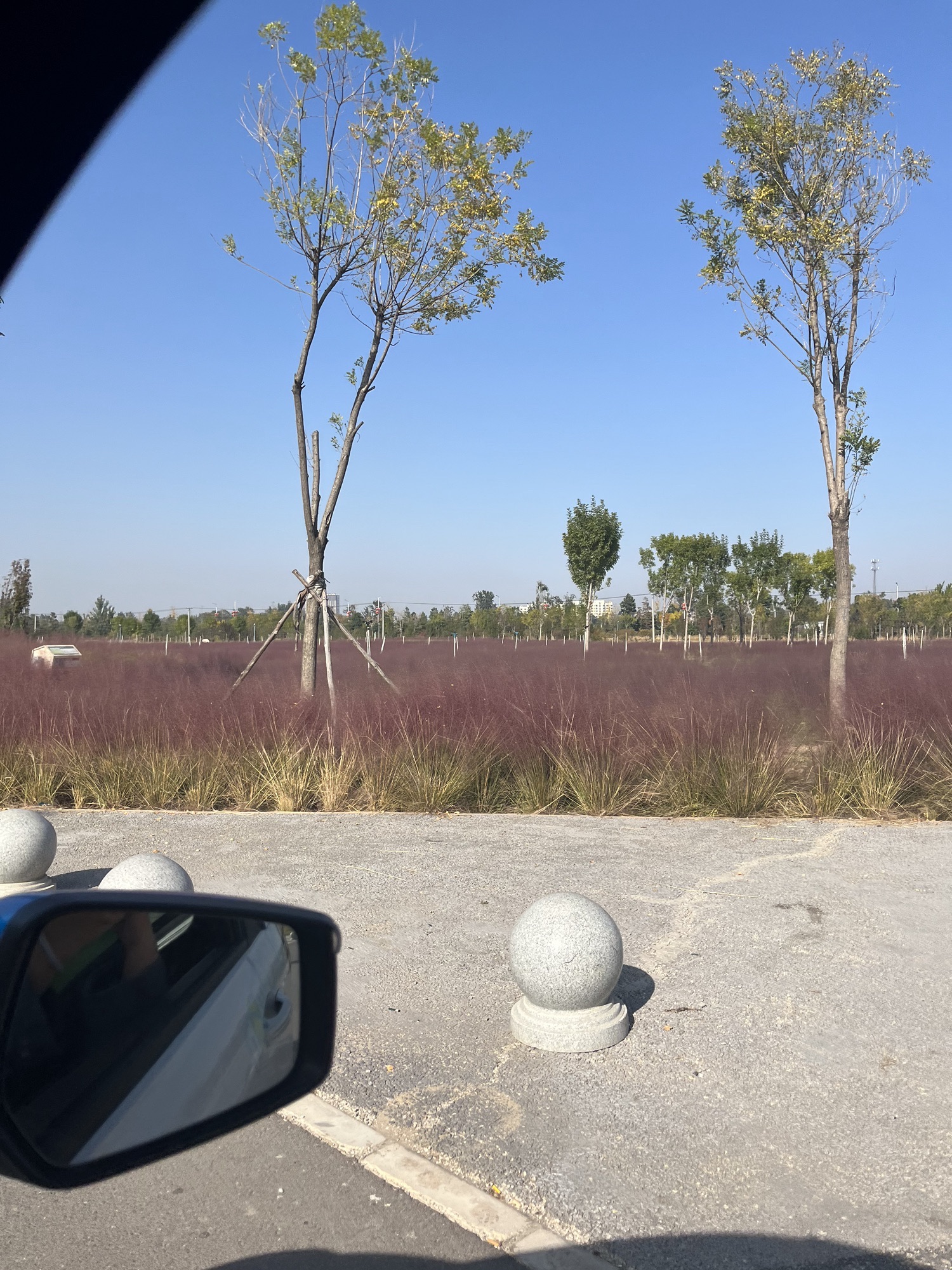 西湖草海旅行图片 2