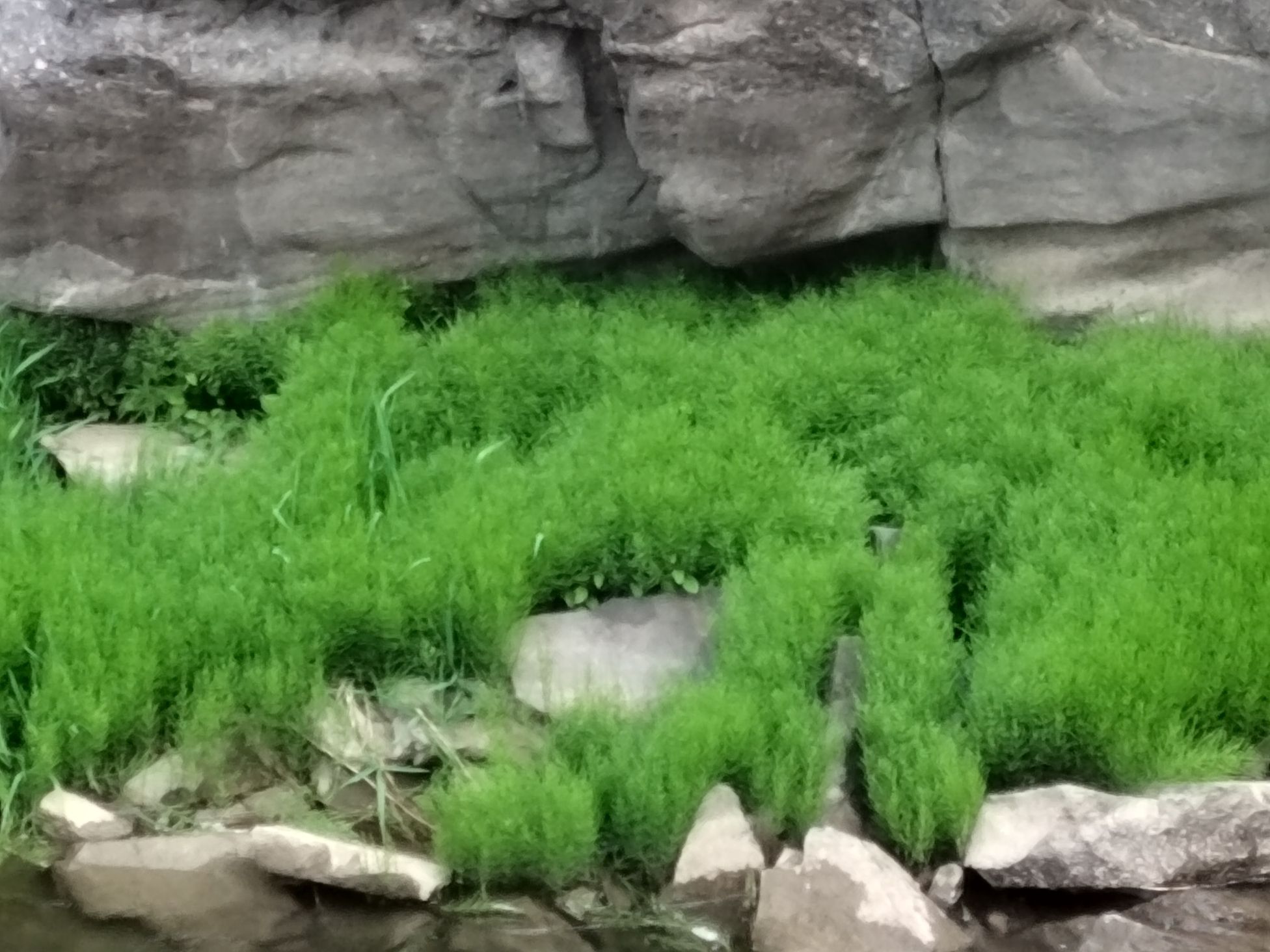 涞沥水自然风景区旅行图片 2
