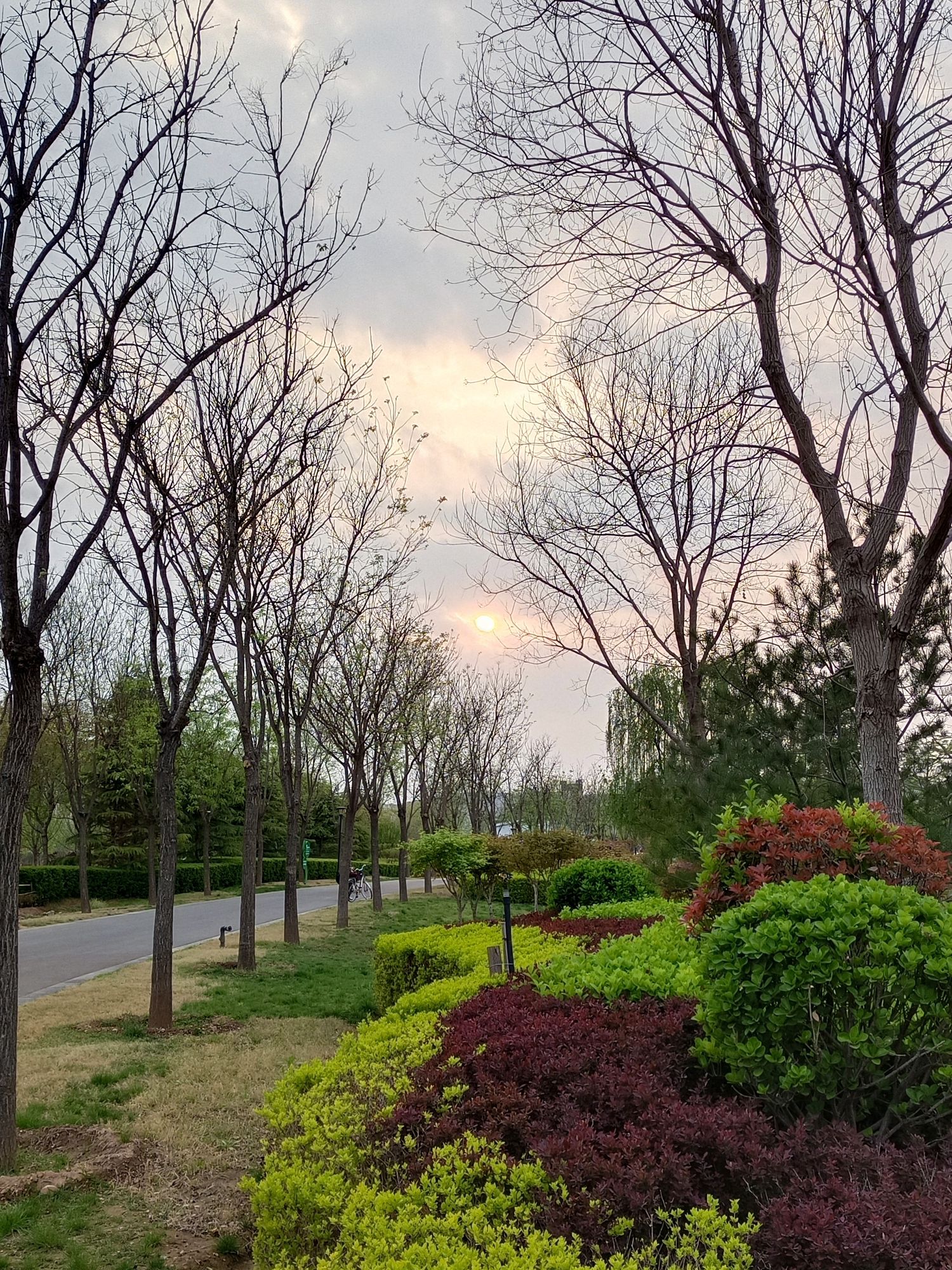峰峰矿区市民公园旅行图片 3