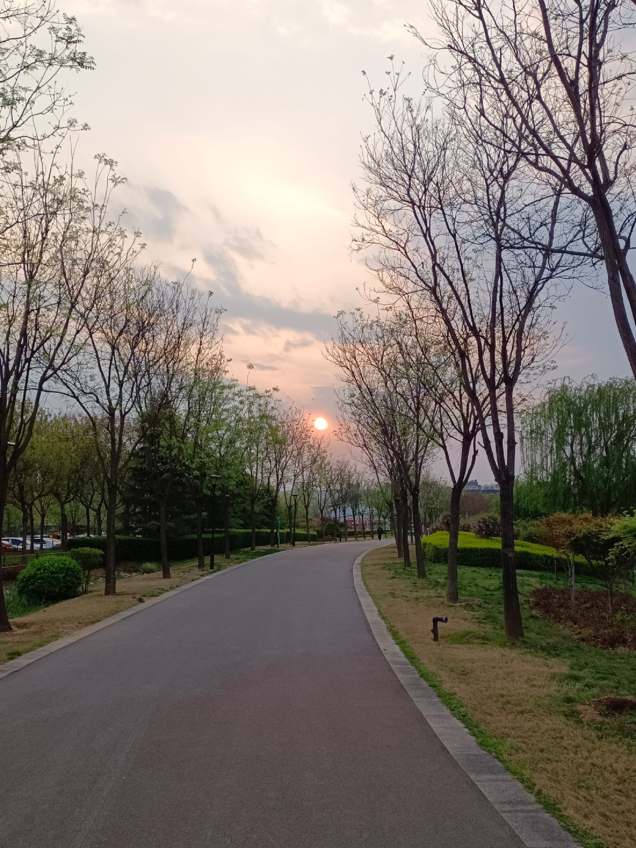 峰峰矿区市民公园旅行图片 1