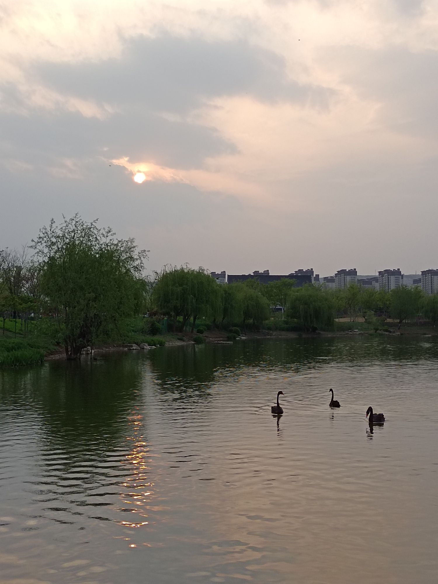 峰峰矿区市民公园旅行图片 2