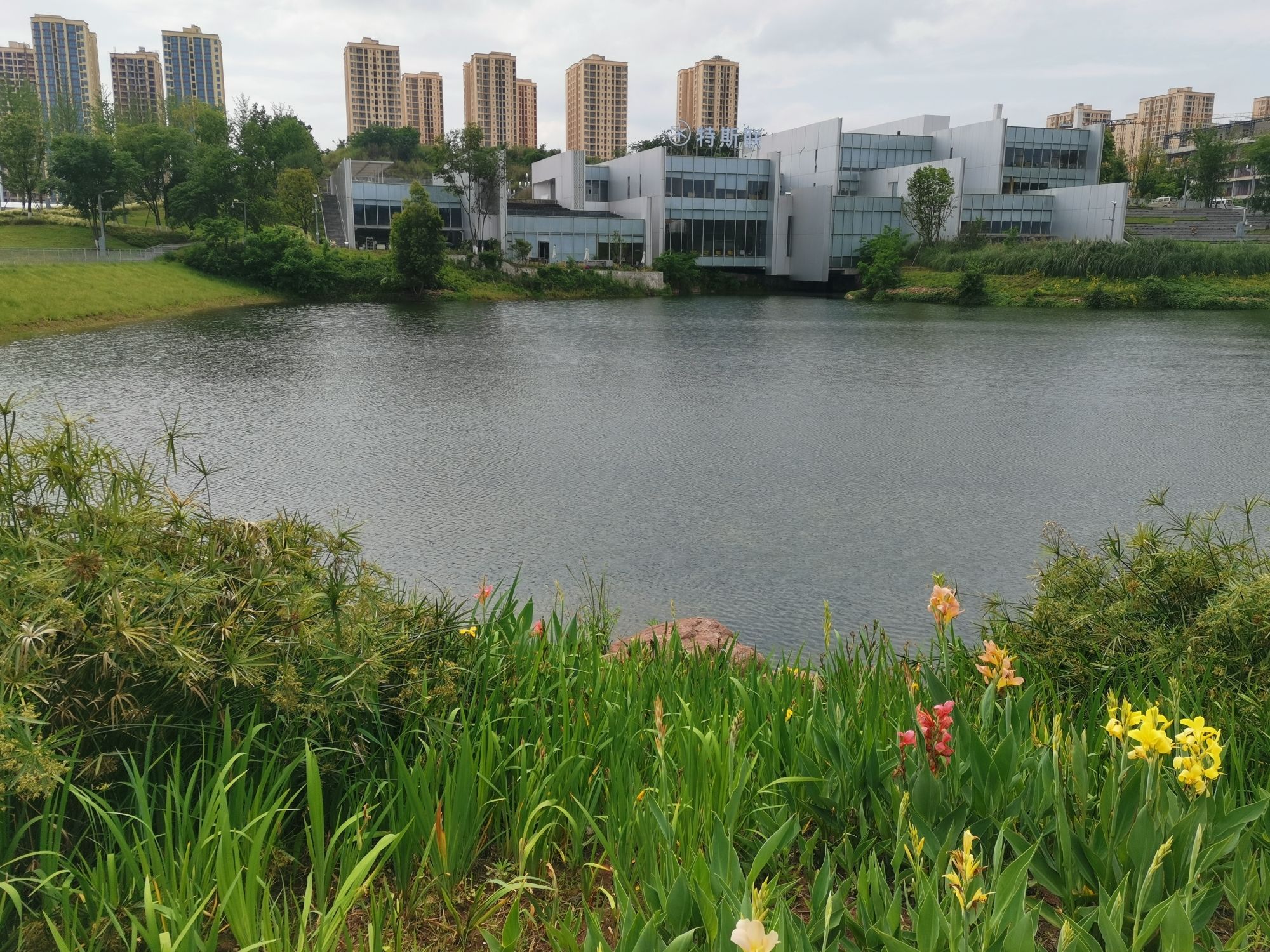 凤鸣湖公园旅行图片 3