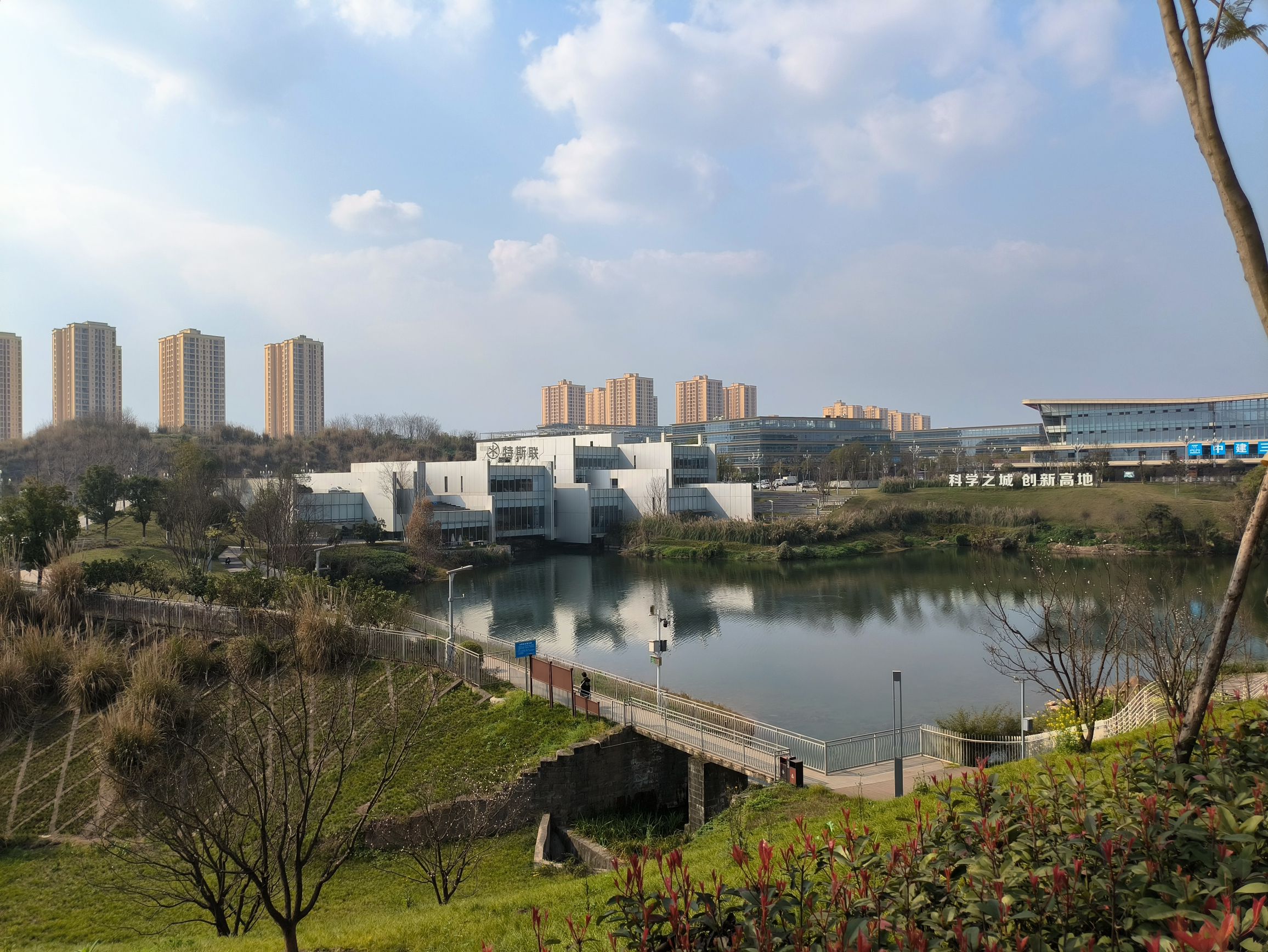 凤鸣湖公园旅行图片 1