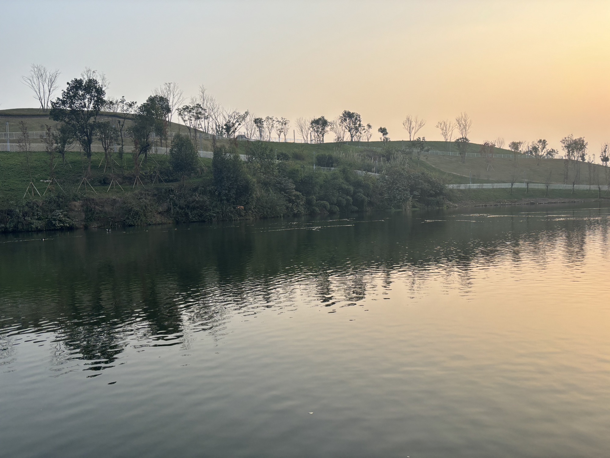 凤鸣湖公园旅行图片 3