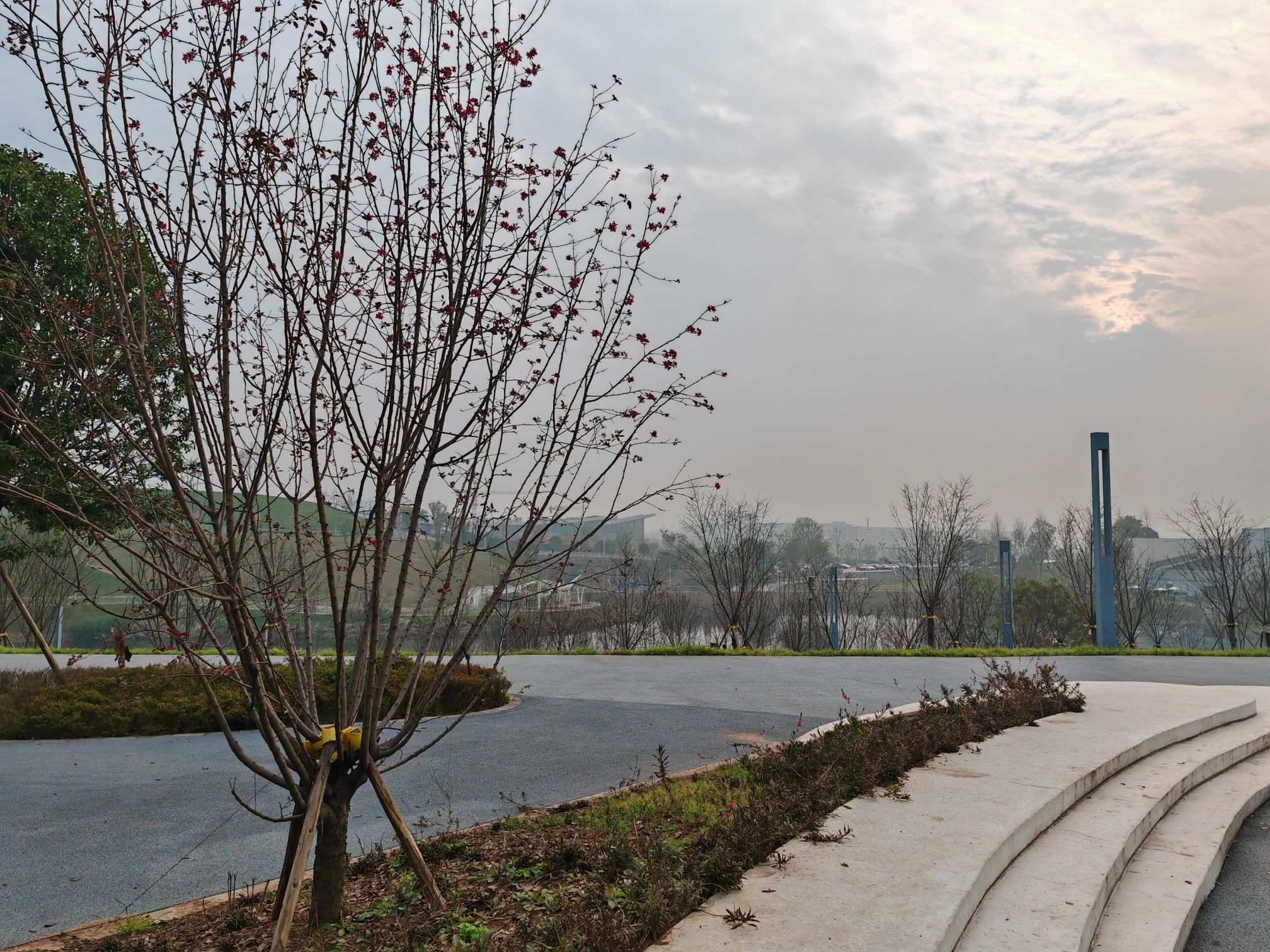 凤鸣湖公园旅行图片 3
