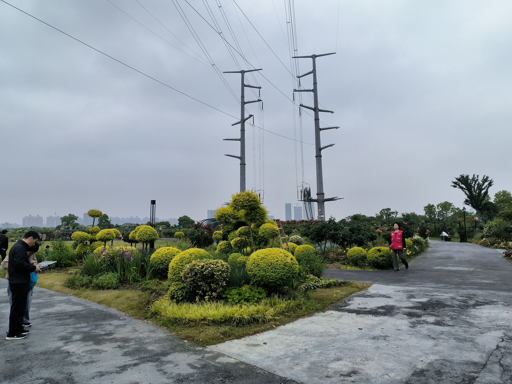 金银湖月季花园旅行图片 1