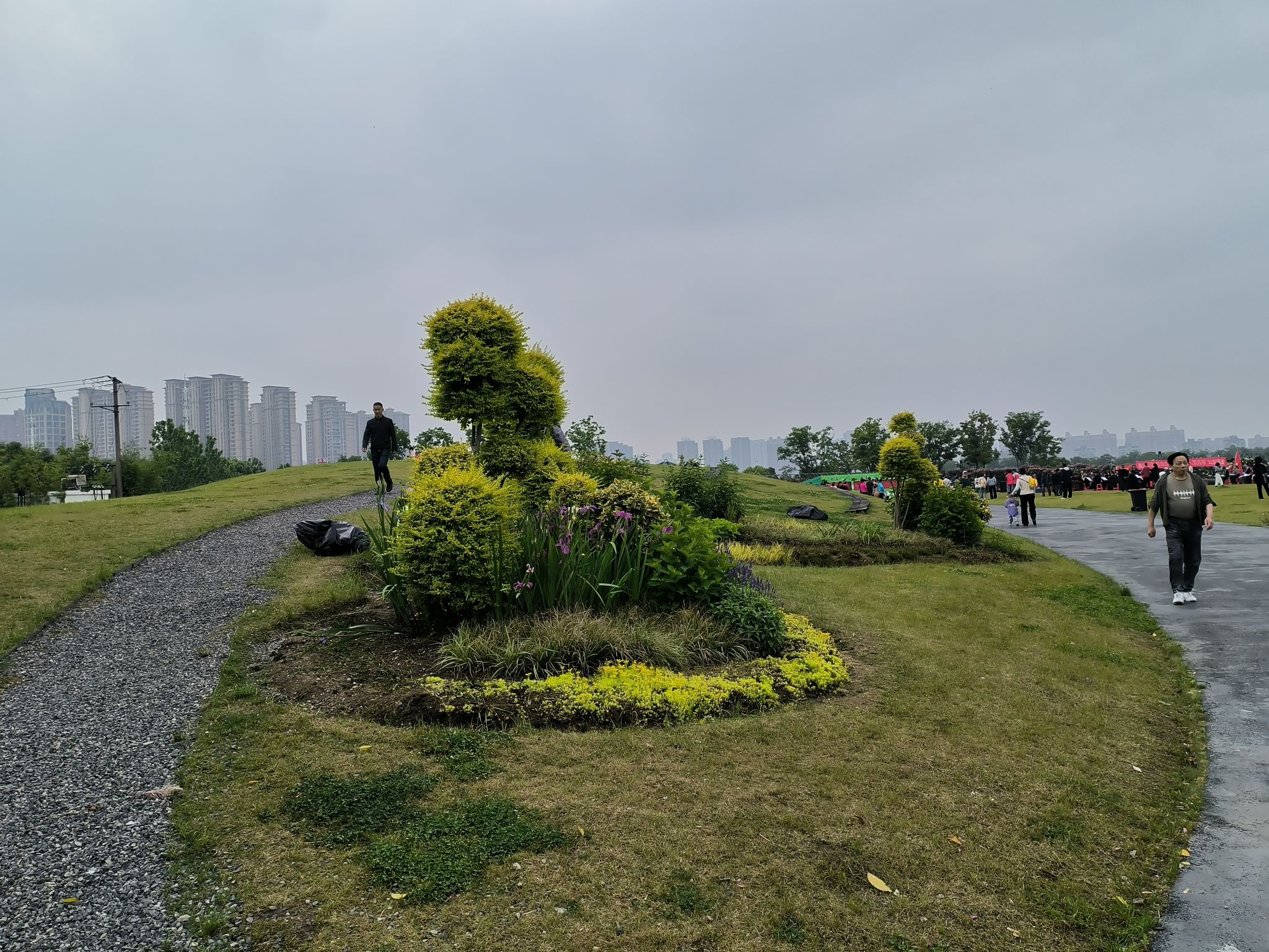 金银湖月季花园旅行图片 2