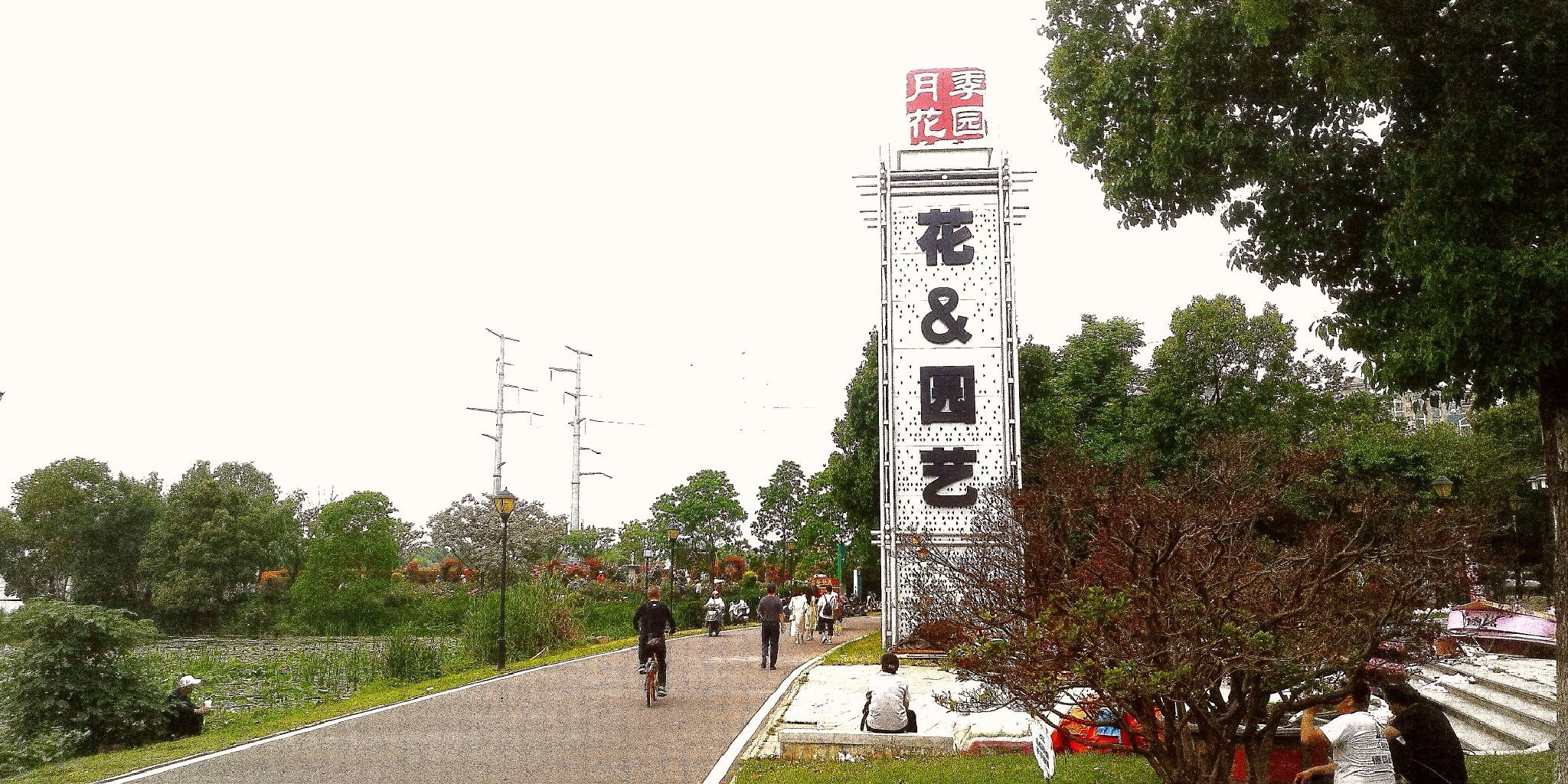 金银湖月季花园旅行图片 2