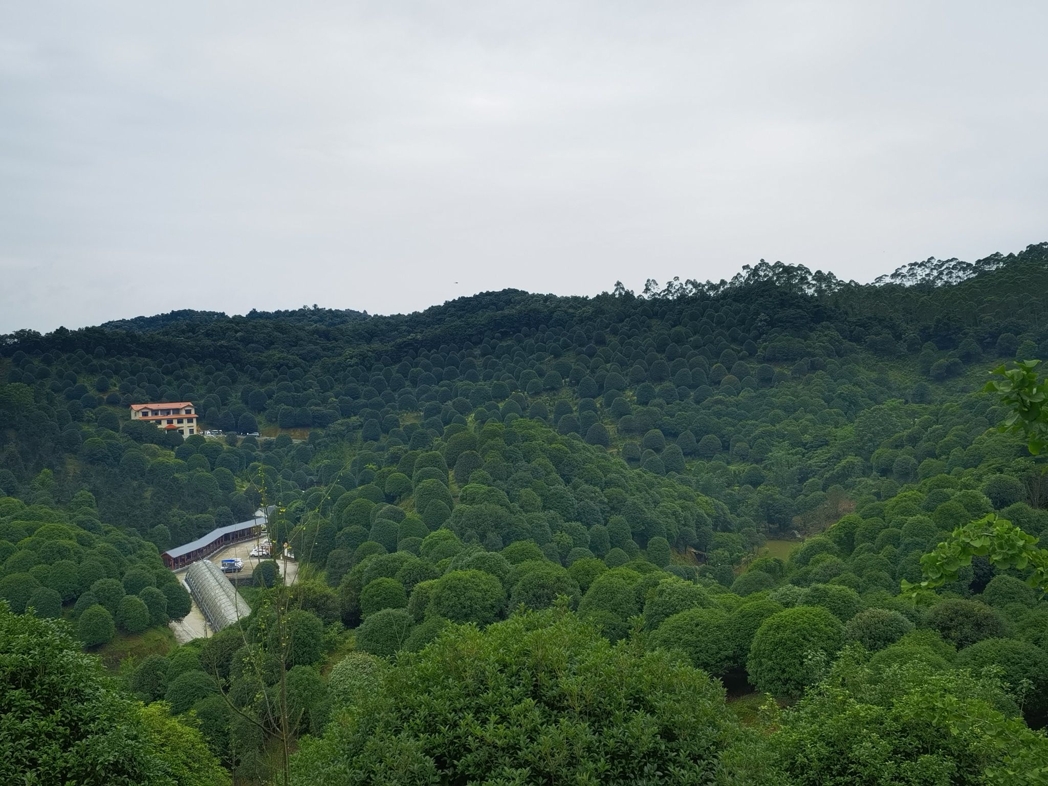 桂林之花观景台旅行图片 3