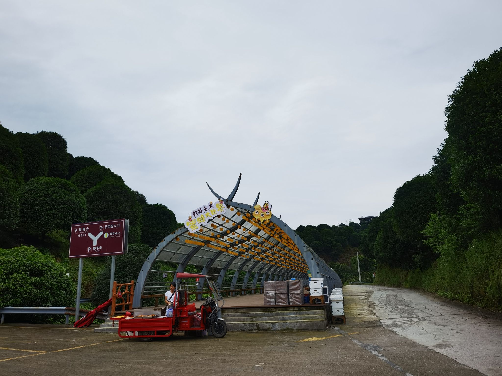 桂林之花观景台旅行图片 2