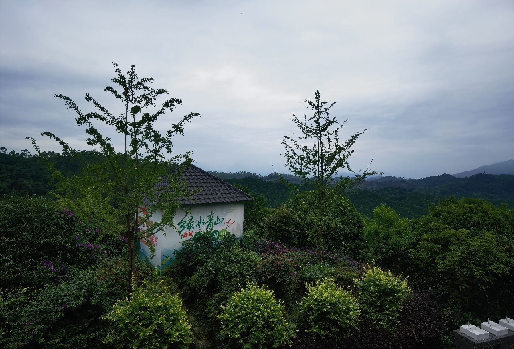 桂林之花观景台旅行图片 1