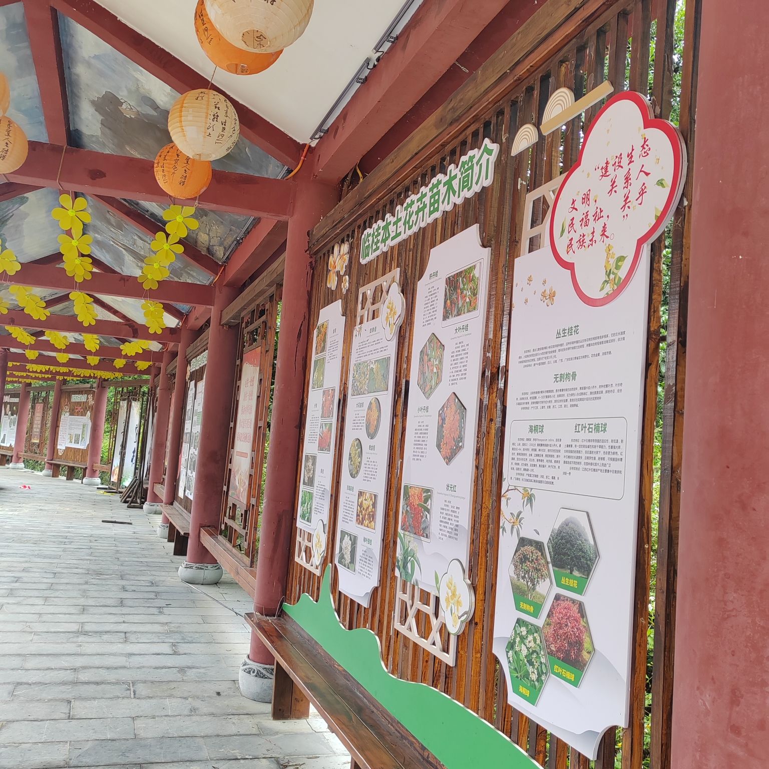 桂林之花观景台旅行图片 2