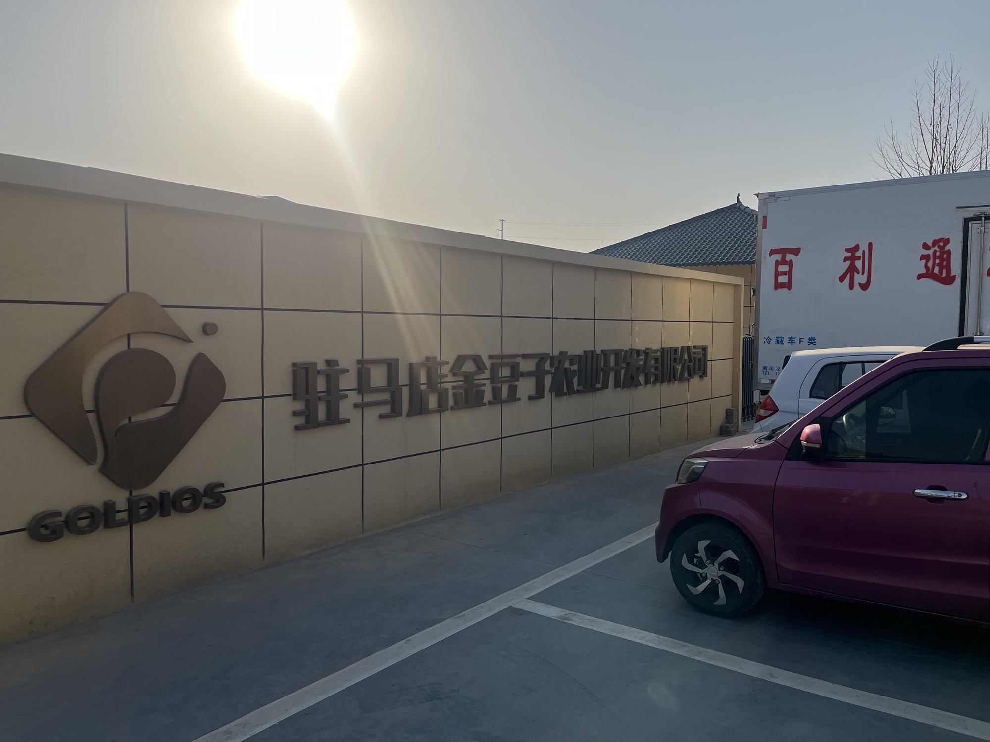 驻马店金豆子农业开发有限公司