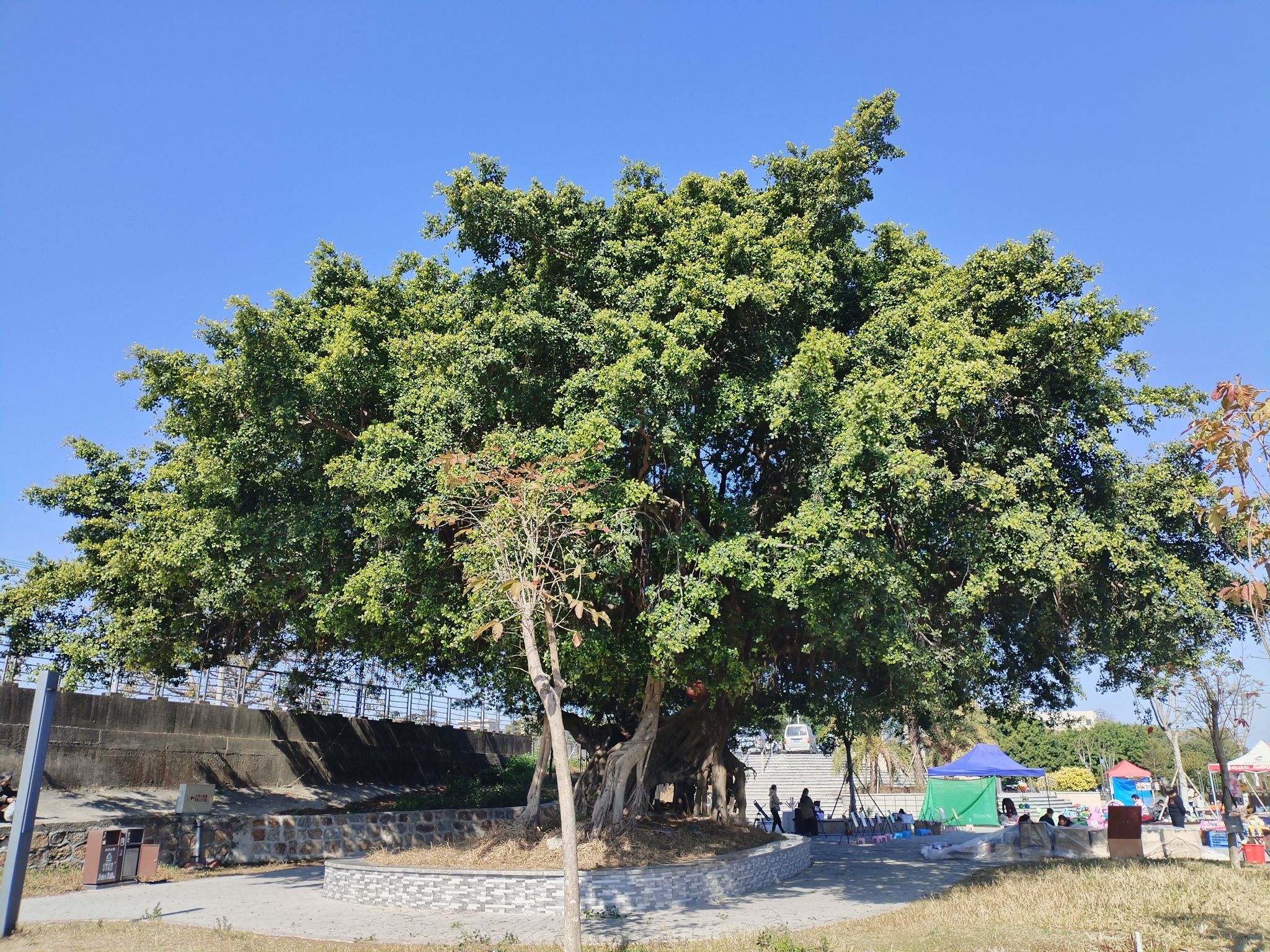 江景公园旅行图片 3
