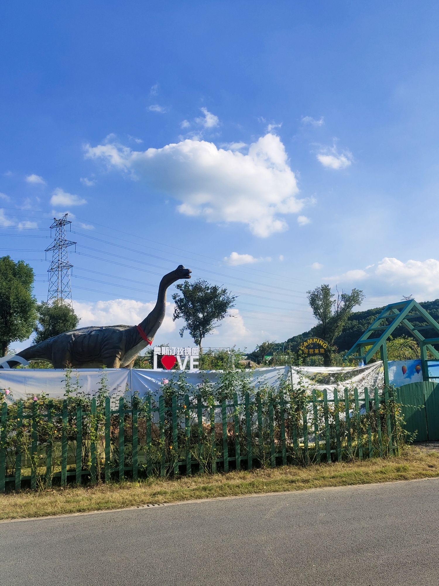 奥斯汀玫瑰园旅行图片 2