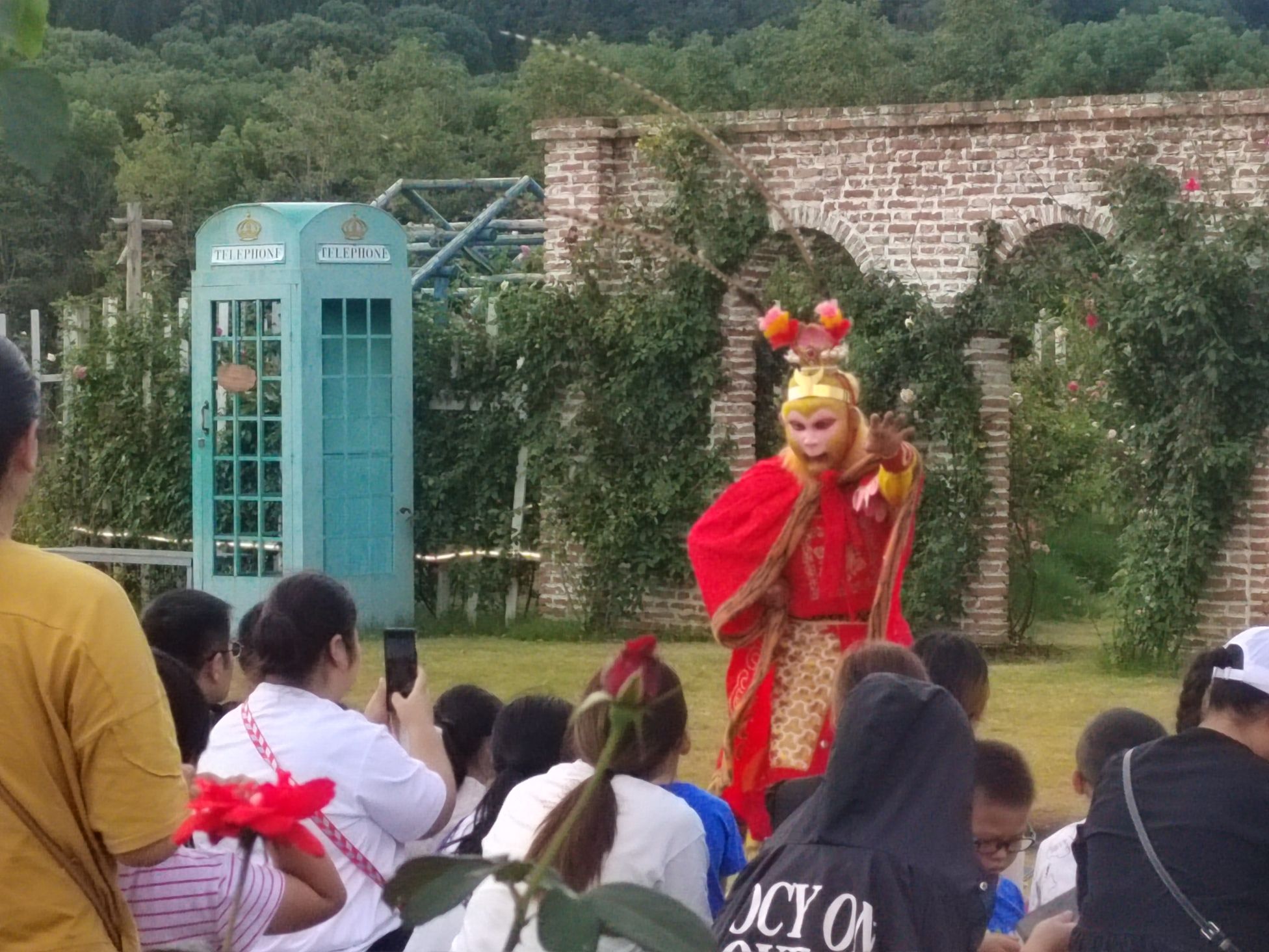 奥斯汀玫瑰园旅行图片 3