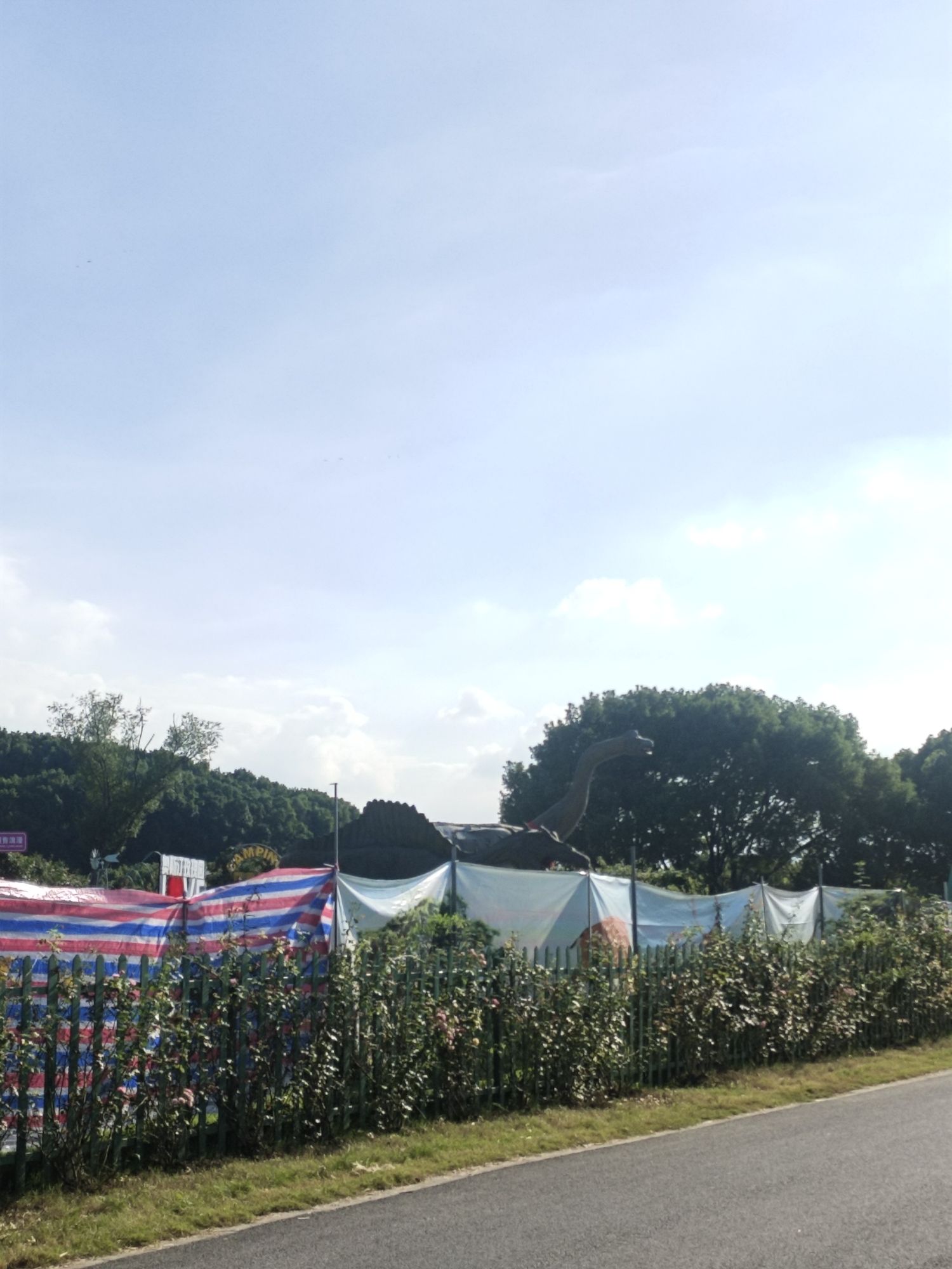 奥斯汀玫瑰园旅行图片 3