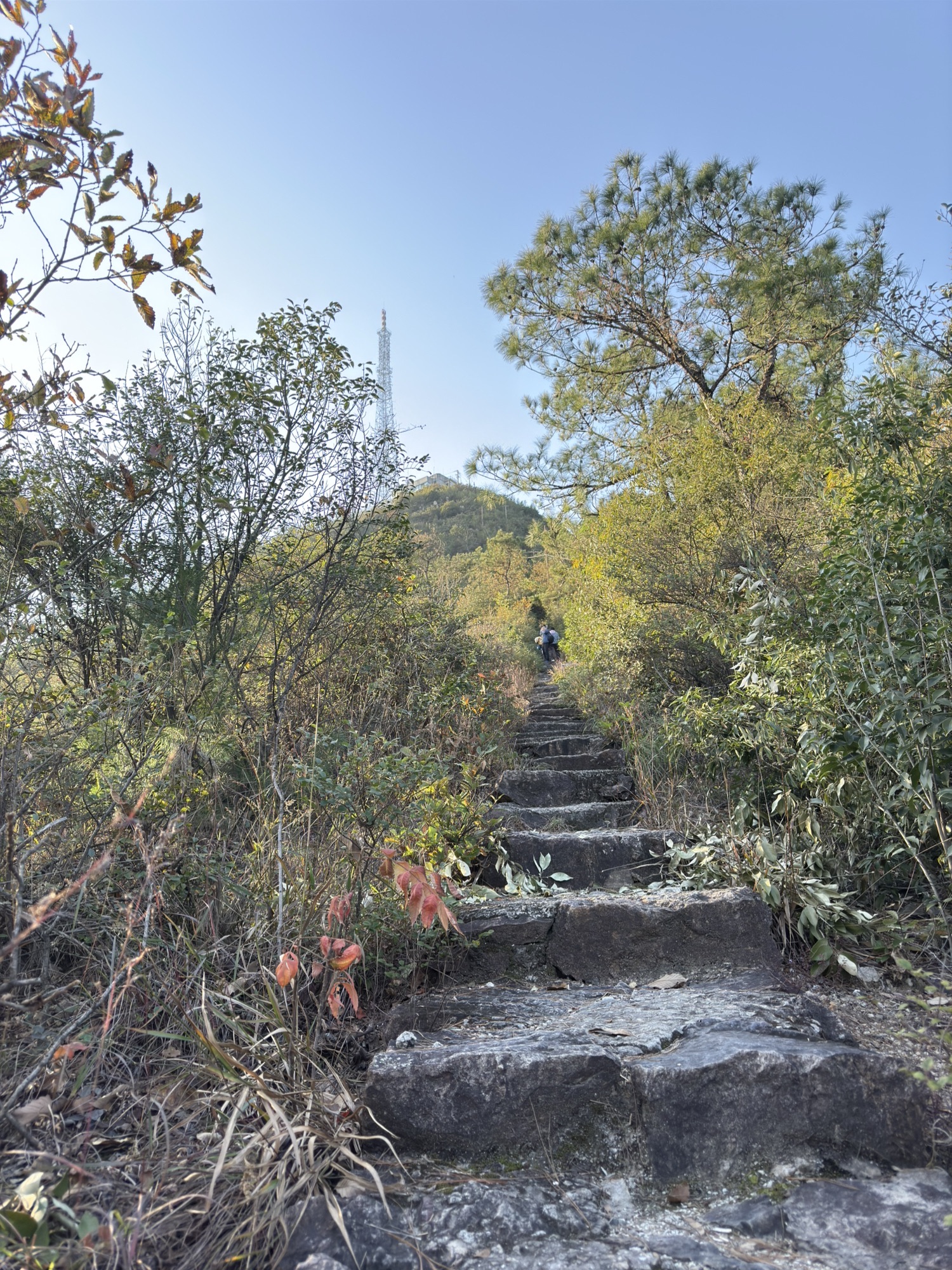 丰山游步道旅行图片 2