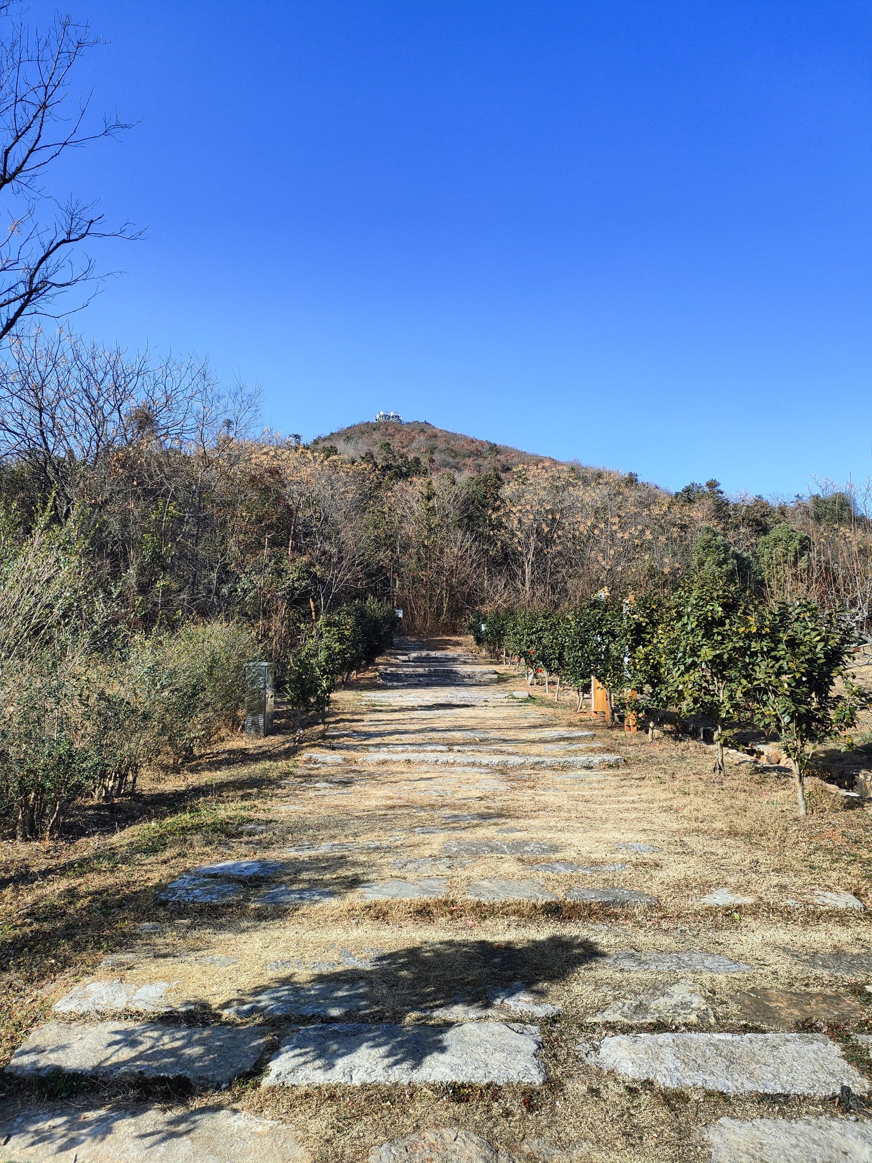 庐江独山旅游景区旅行图片 2