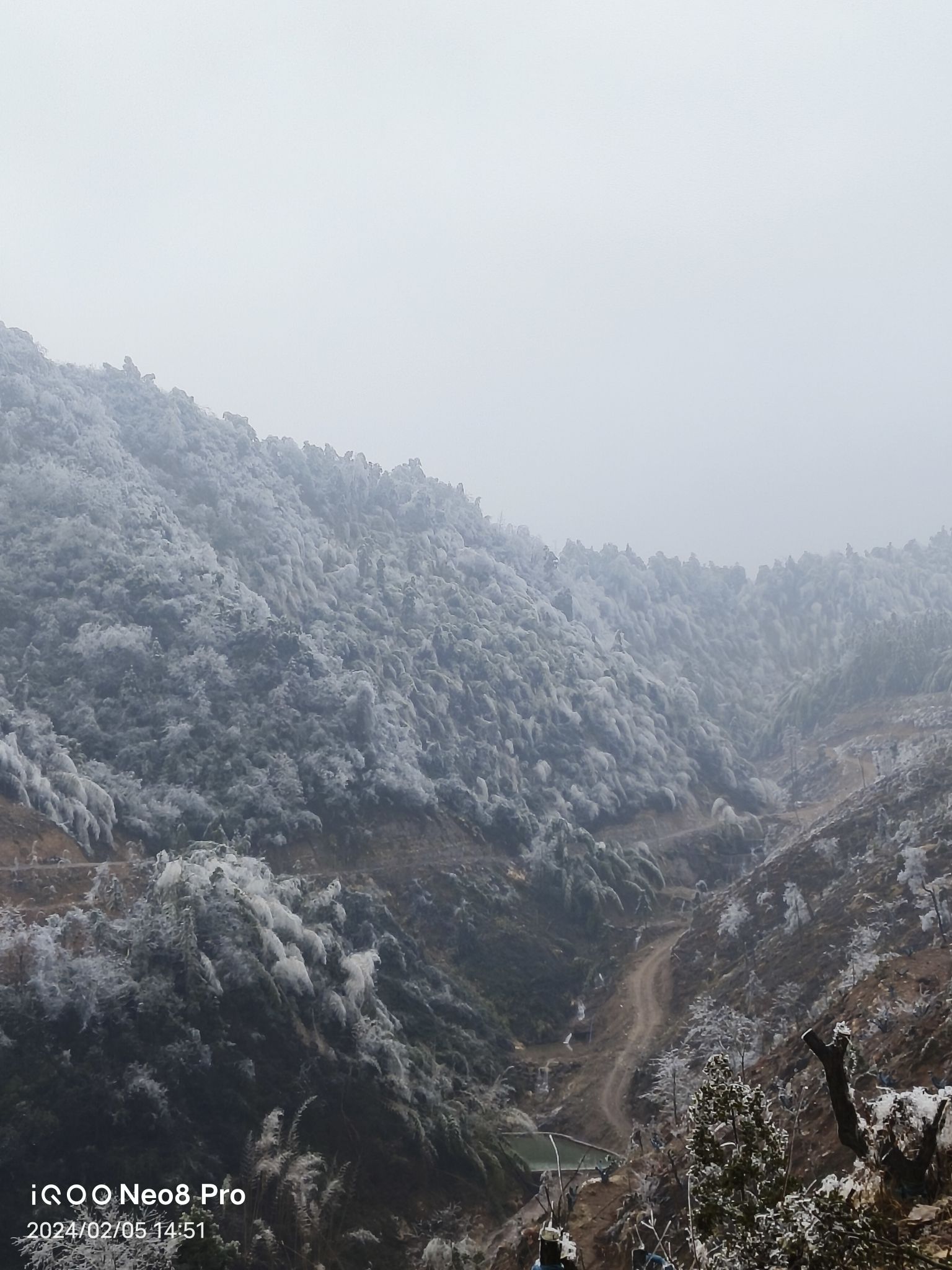 永州红枫谷旅行图片 3