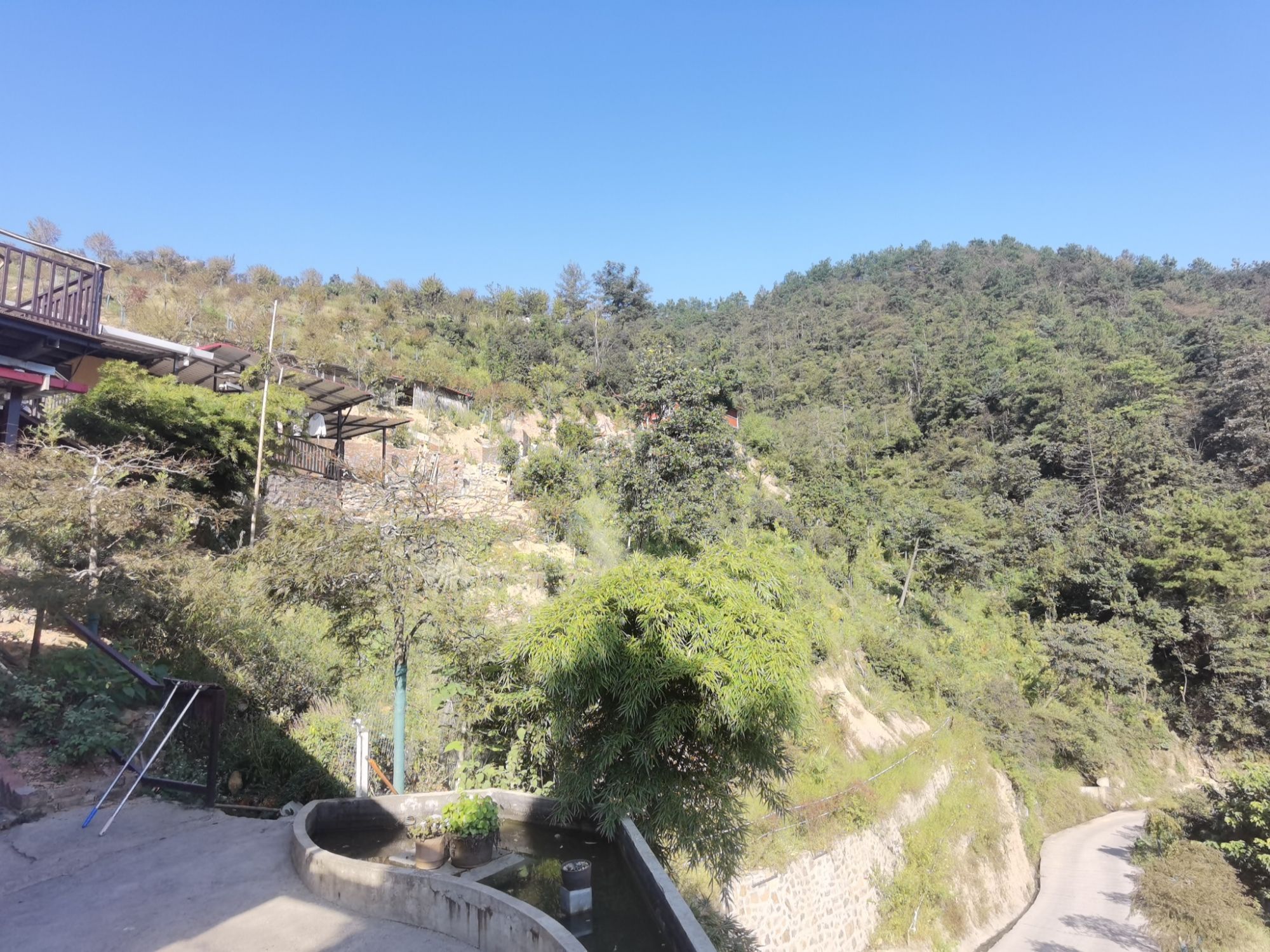 永州红枫谷旅行图片 2