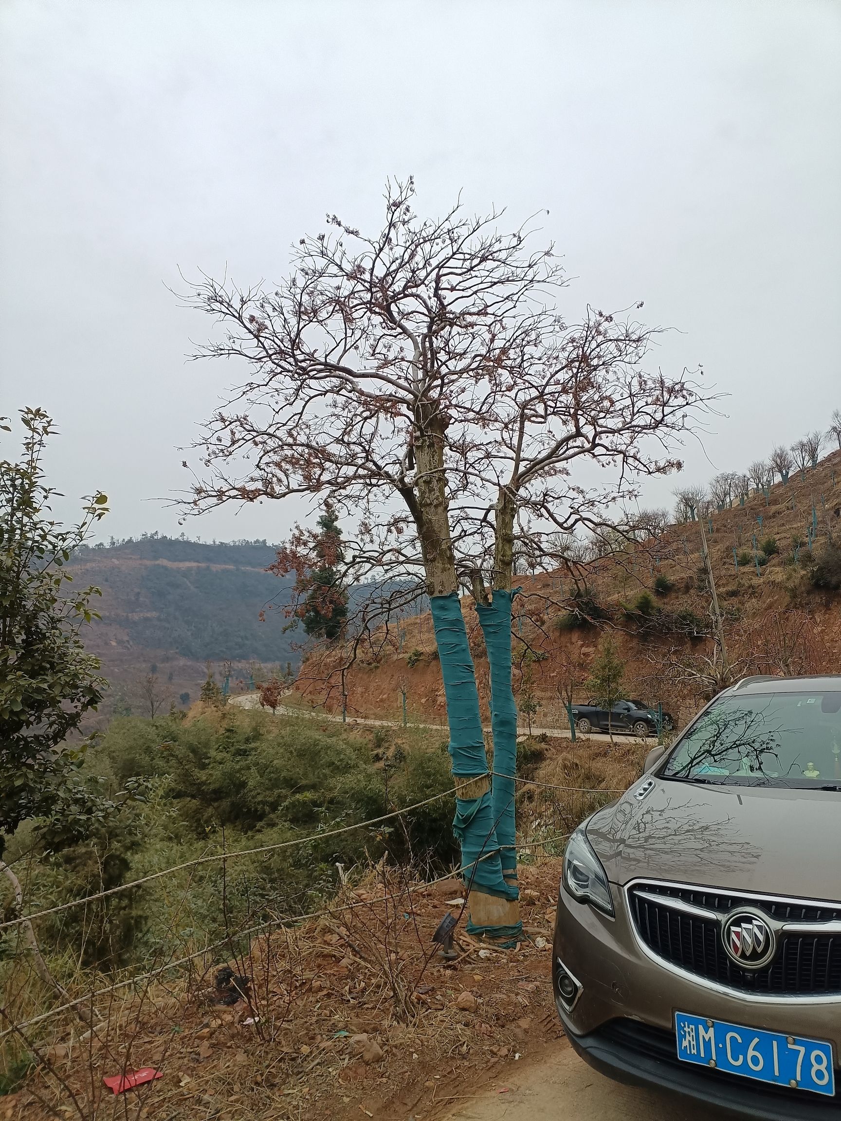 永州红枫谷旅行图片 2