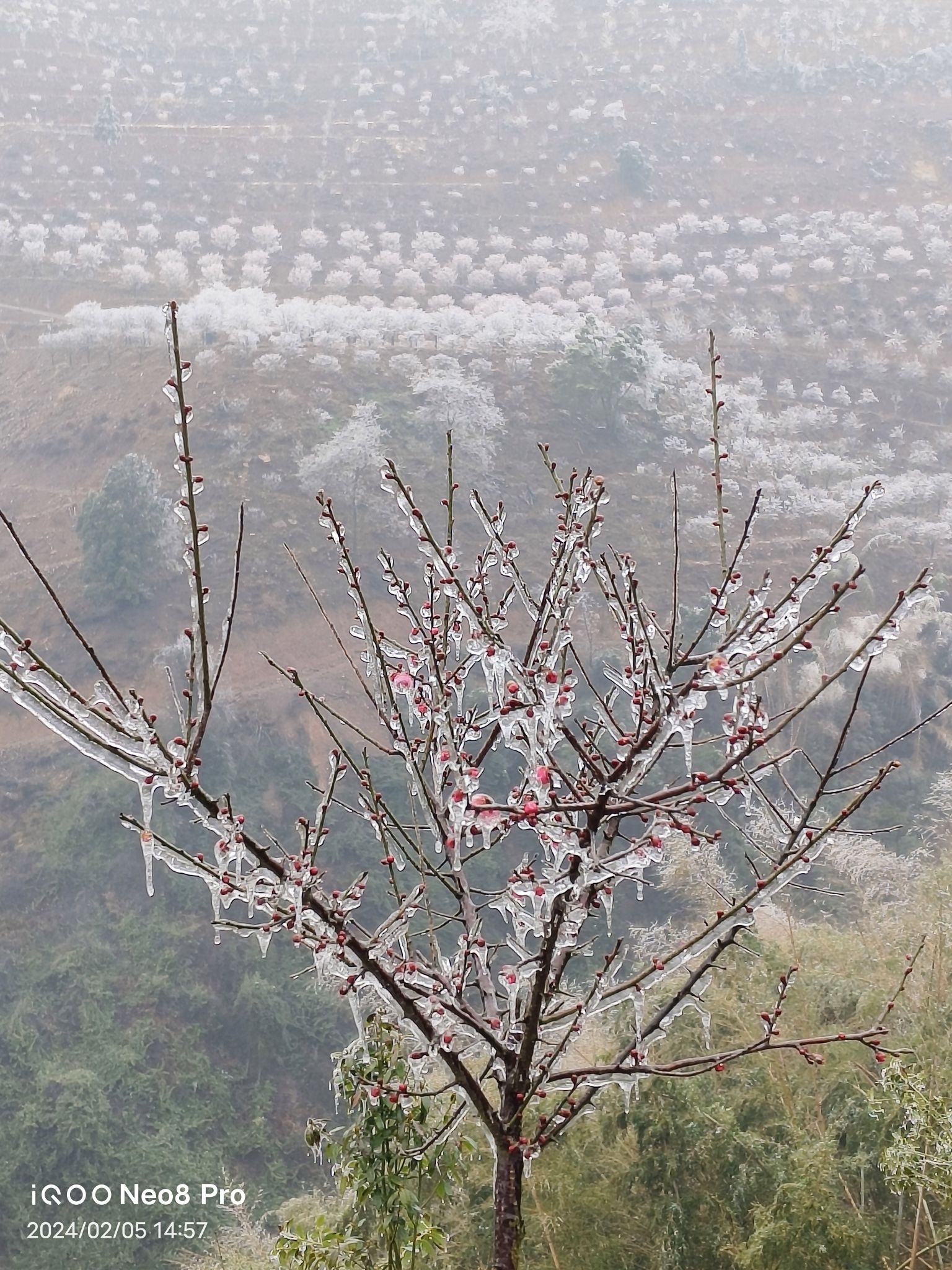永州红枫谷旅行图片 1