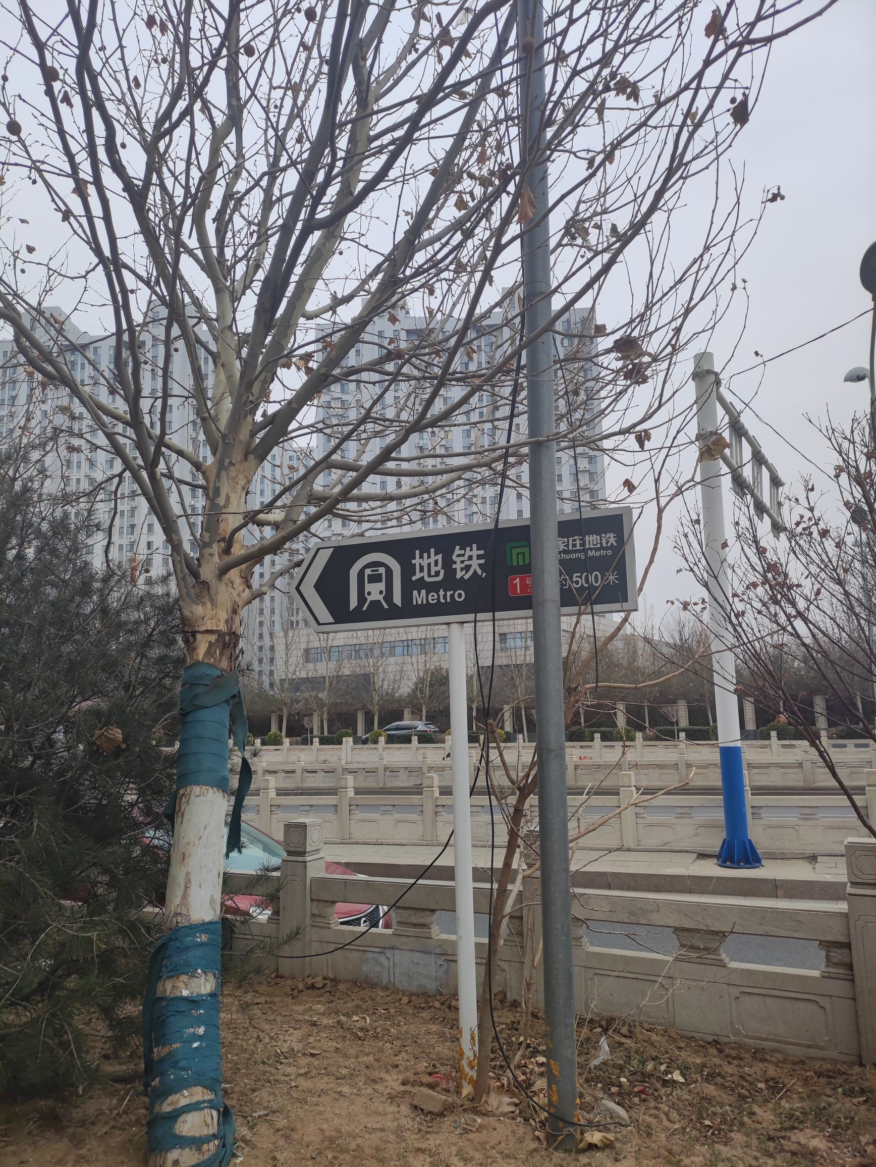 安澜园旅行图片 3