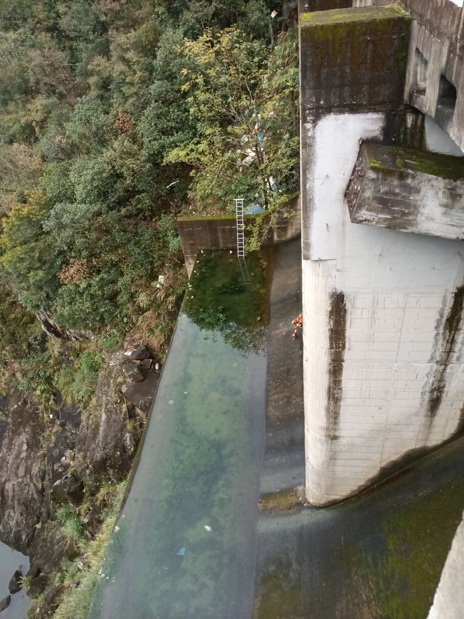 磐安窈川西坑自然风景区旅行图片 3