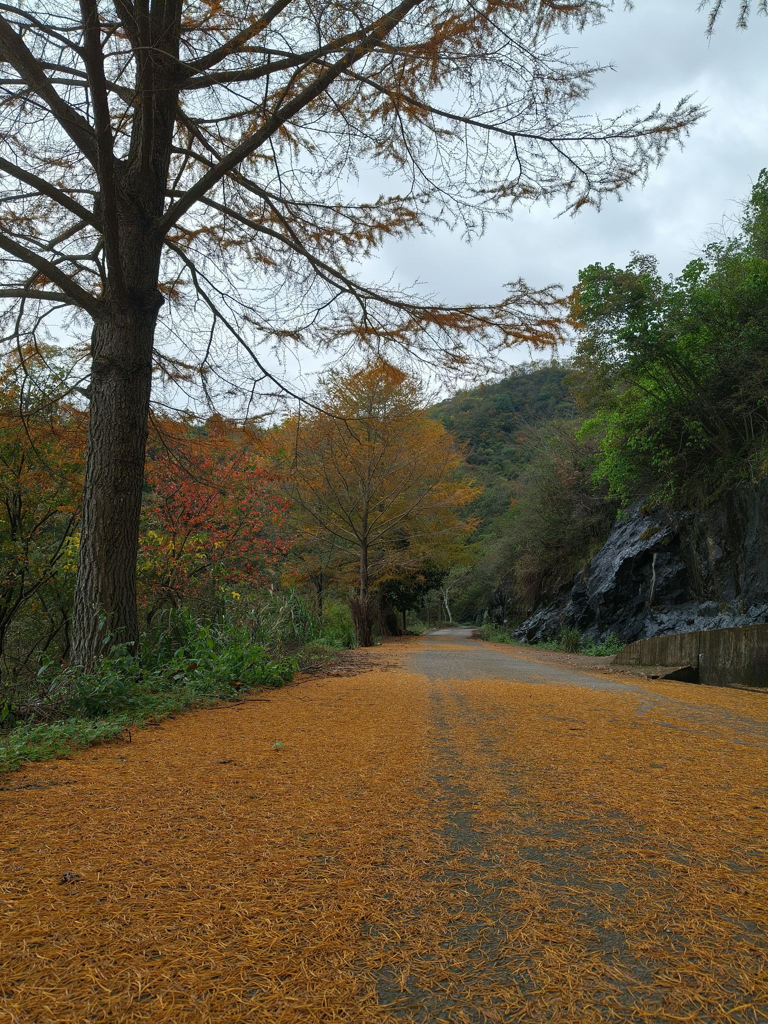磐安窈川西坑自然风景区旅行图片 1