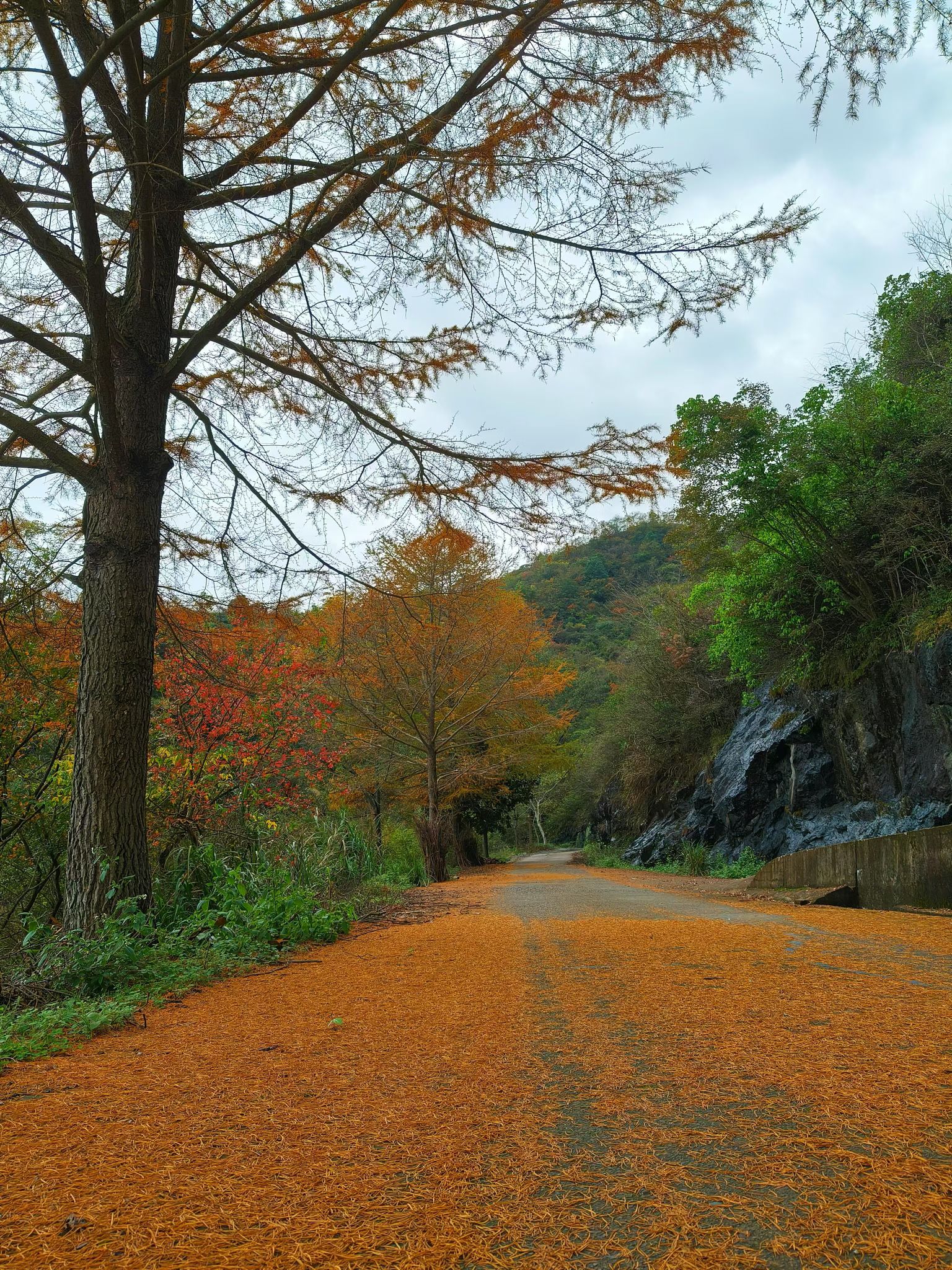 磐安窈川西坑自然风景区旅行图片 2
