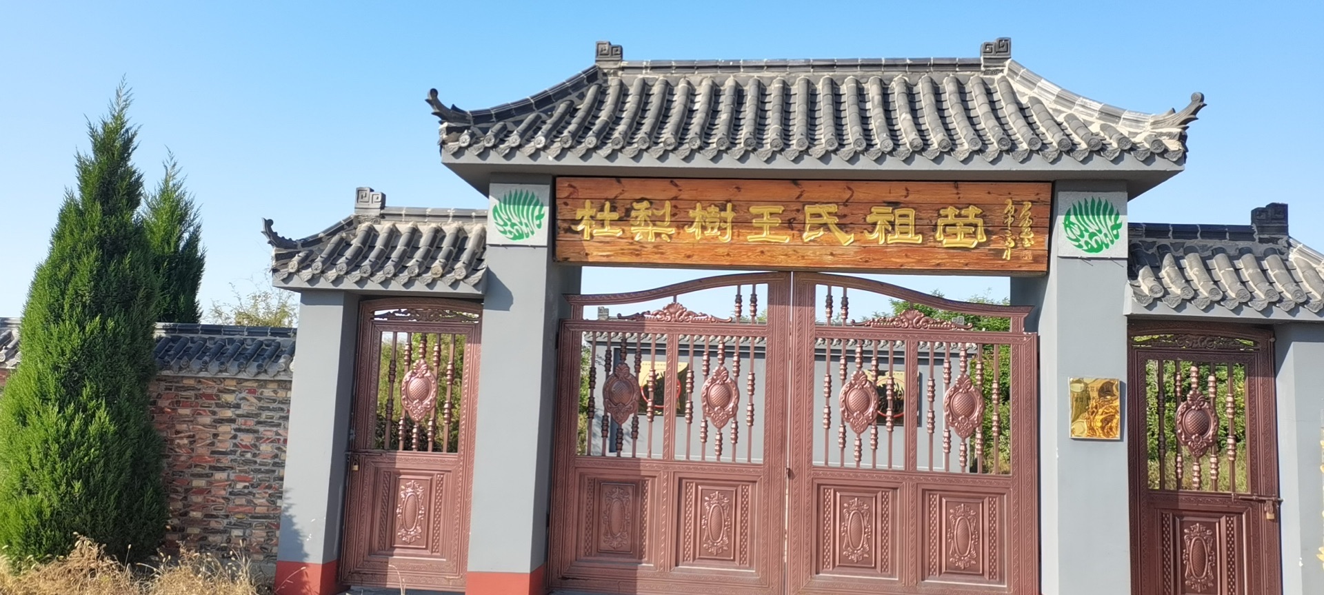 杜梨树王氏祖茔旅行图片 1