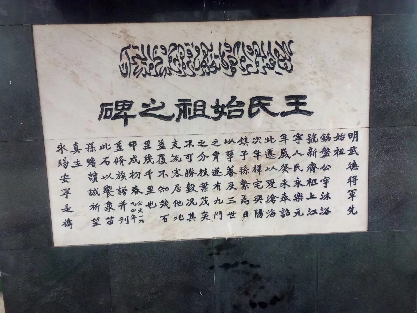 杜梨树王氏祖茔旅行图片 2