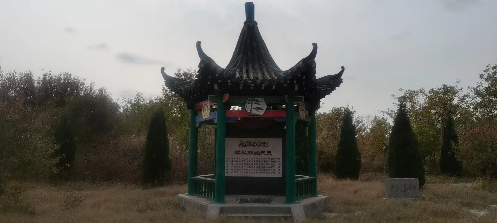 杜梨树王氏祖茔旅行图片 1