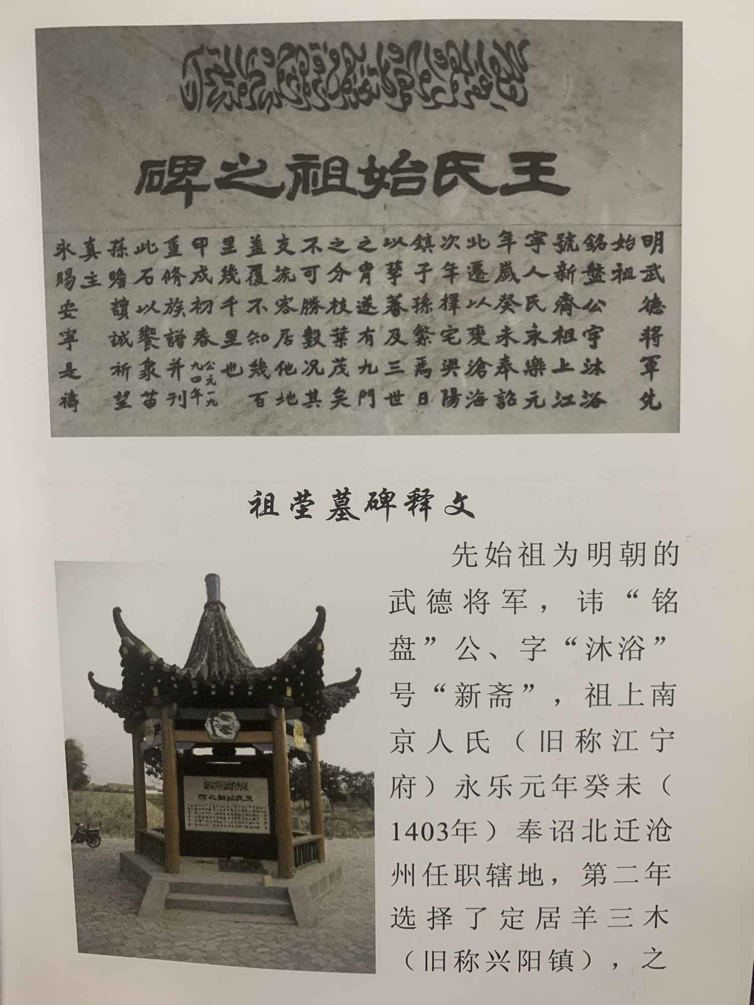 杜梨树王氏祖茔旅行图片 2