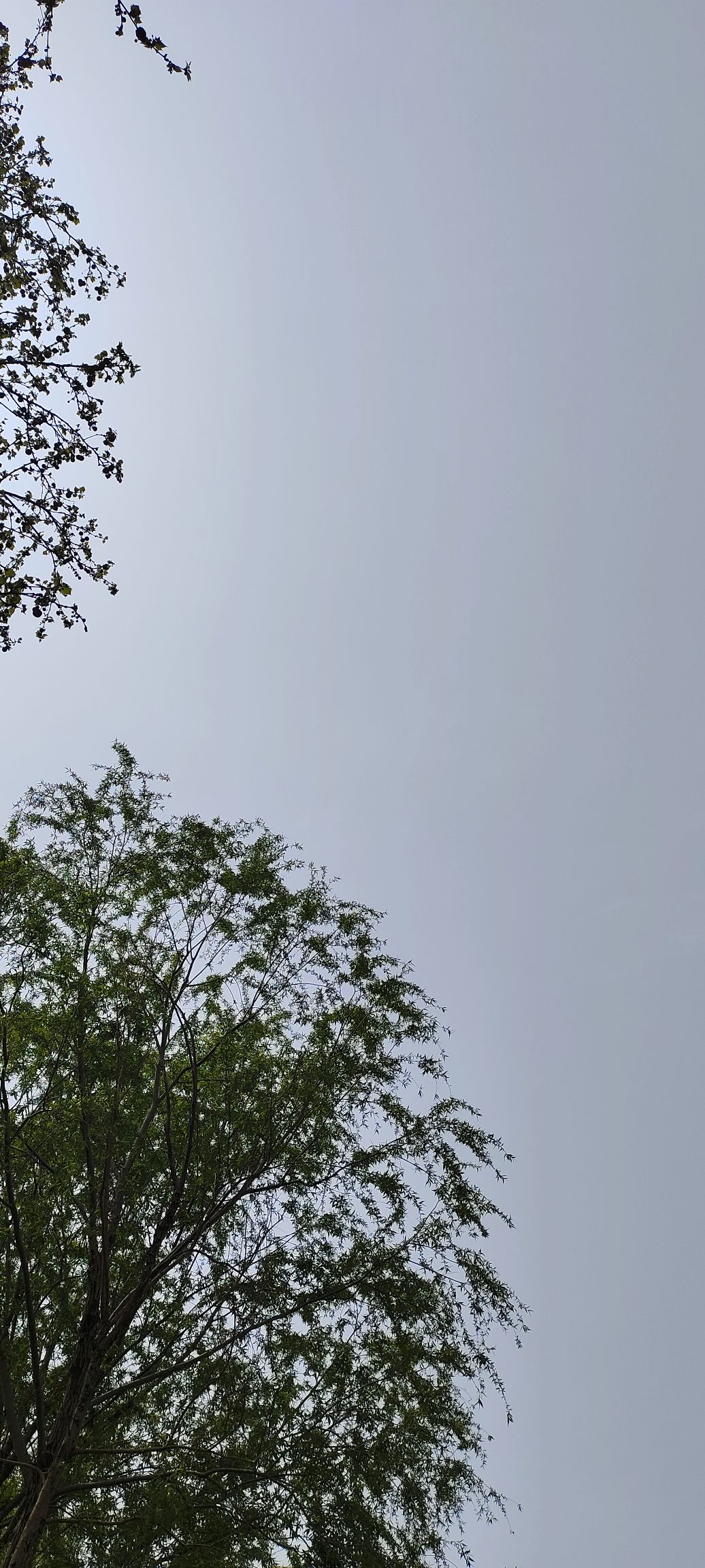 大运河国家文化公园旅行图片 1