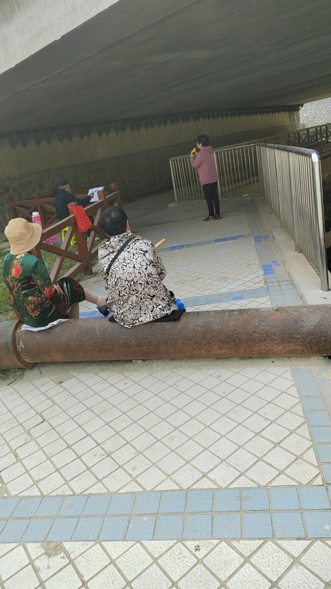 大运河国家文化公园旅行图片 1